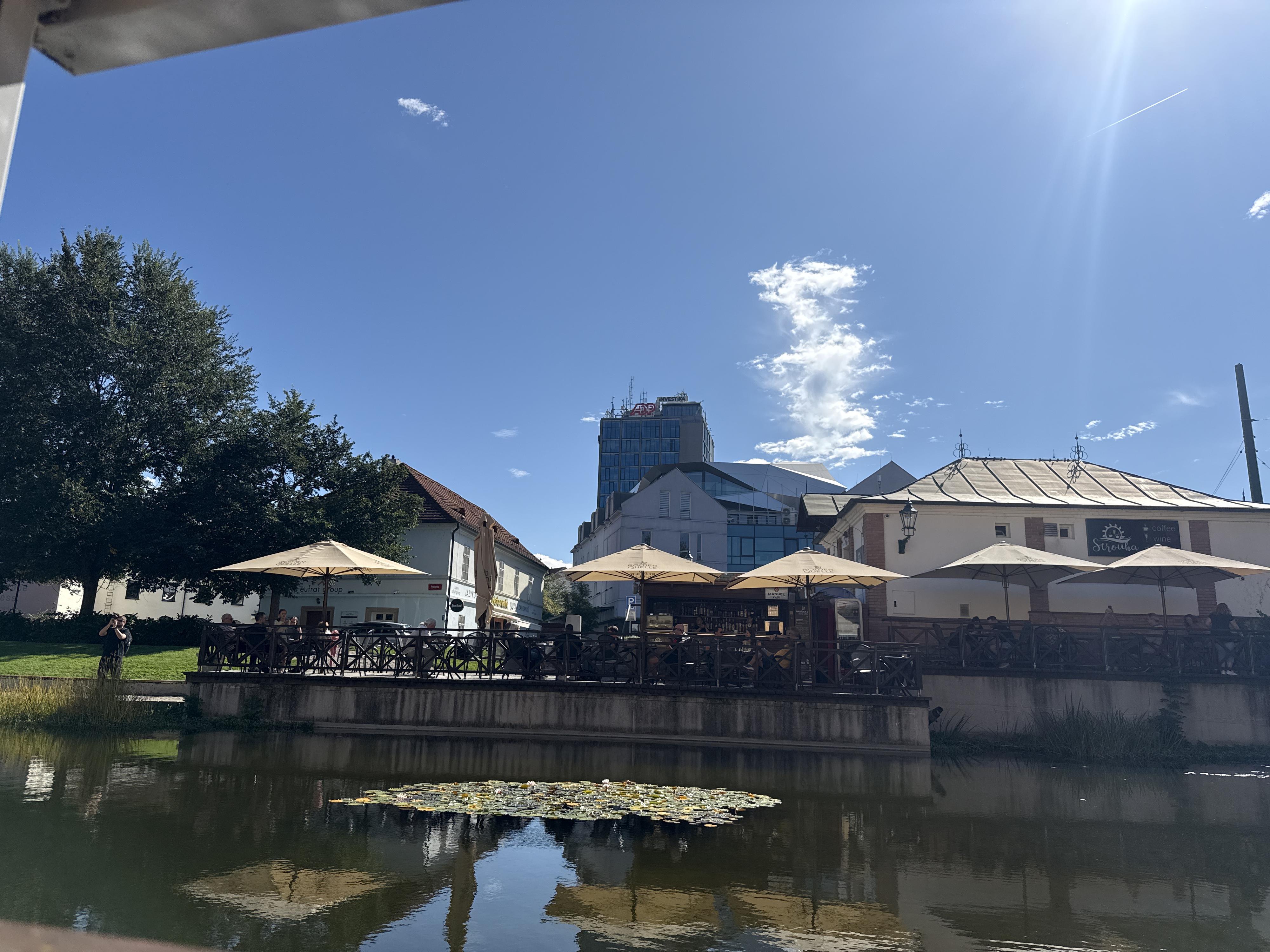 STROUHA coffee & wine & spirits foto 5