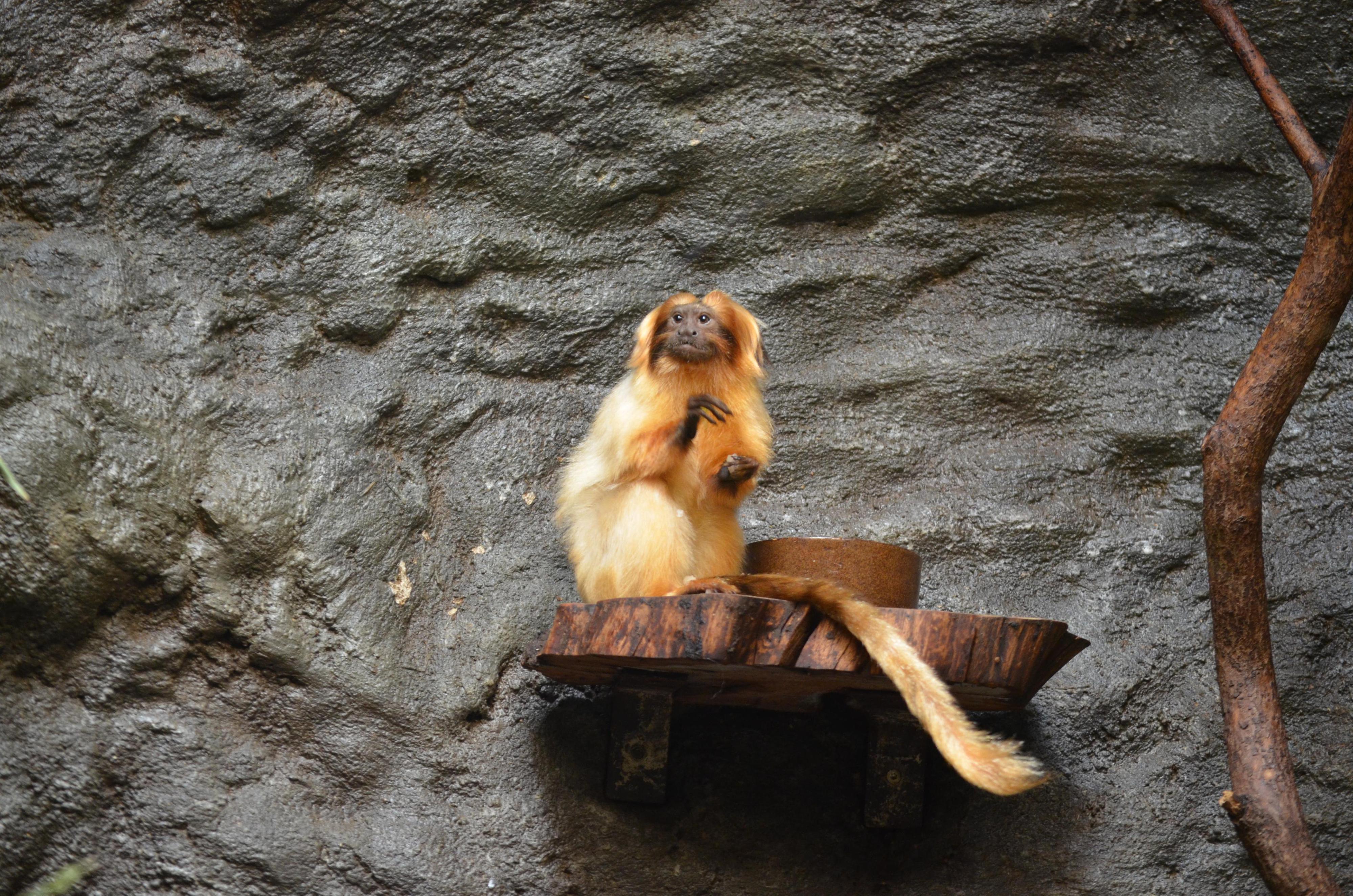 Zoologická zahrada Ústí nad Labem foto 2