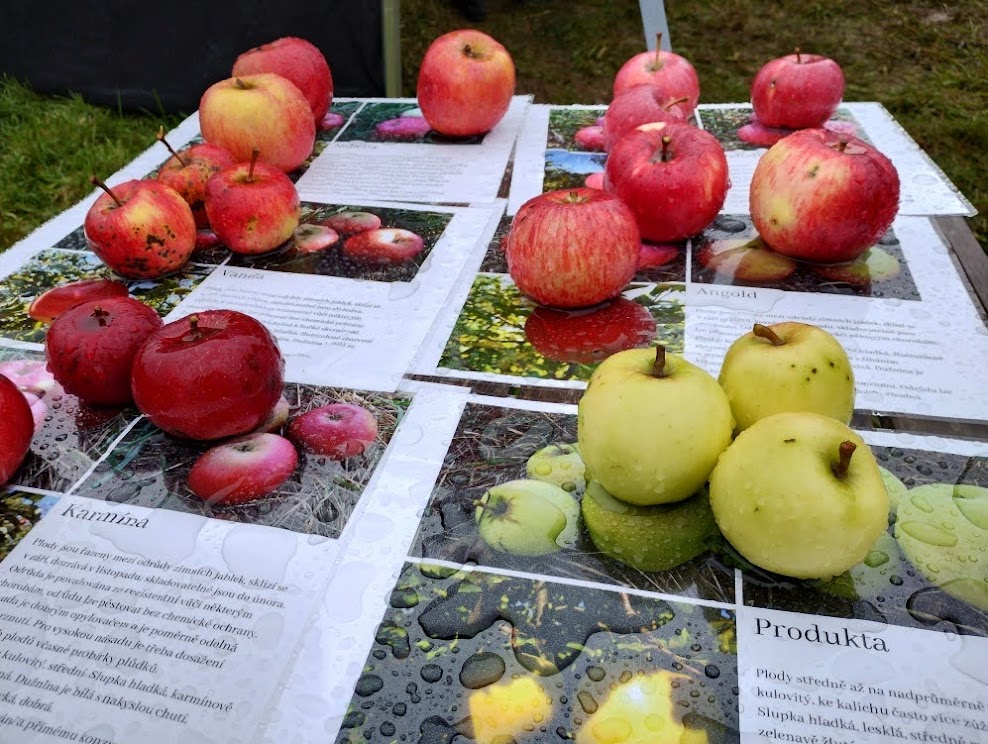 Enkláva Sychrov foto 2