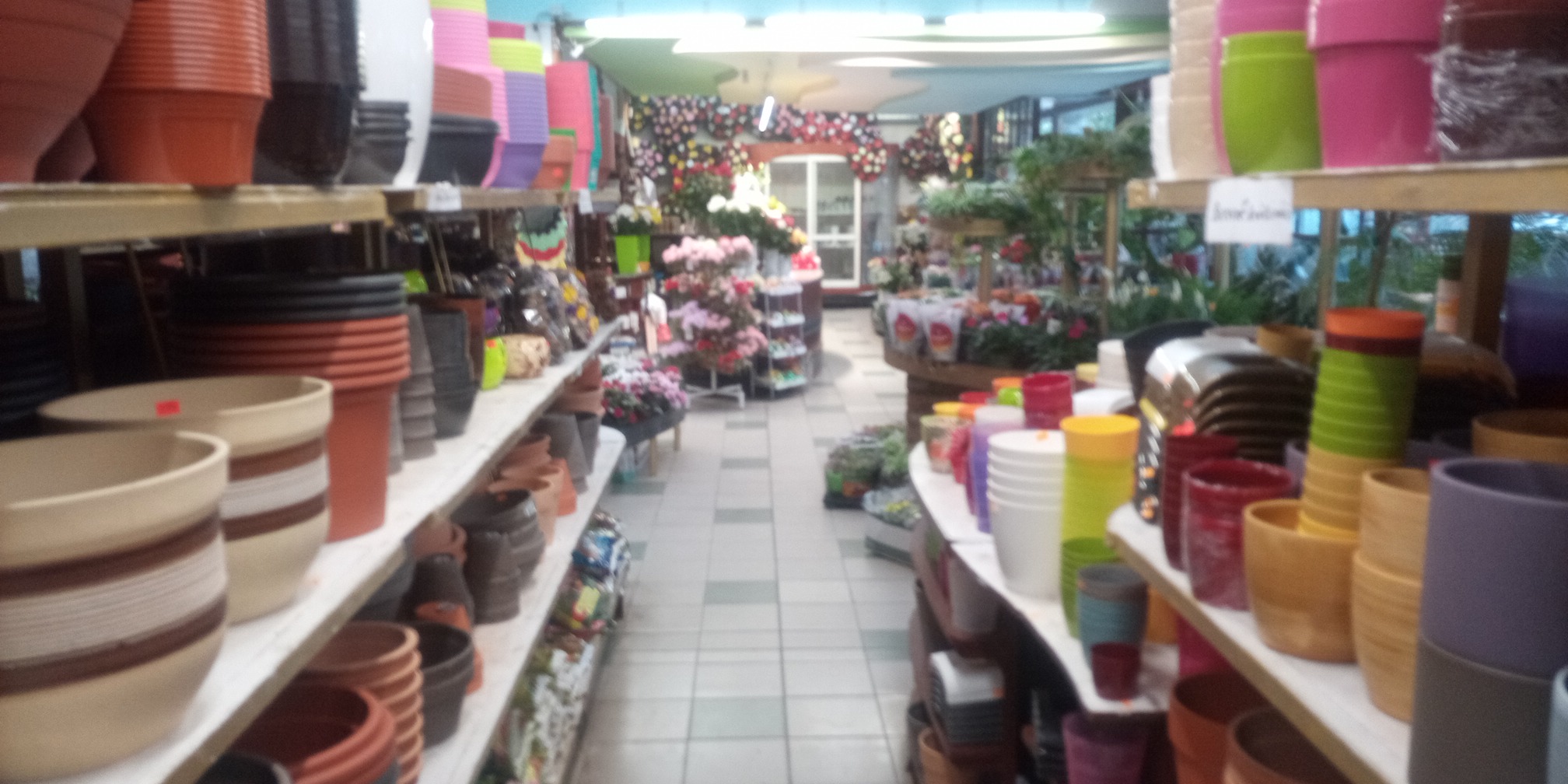 Květiny Olšany - Pavel Šticha foto 5