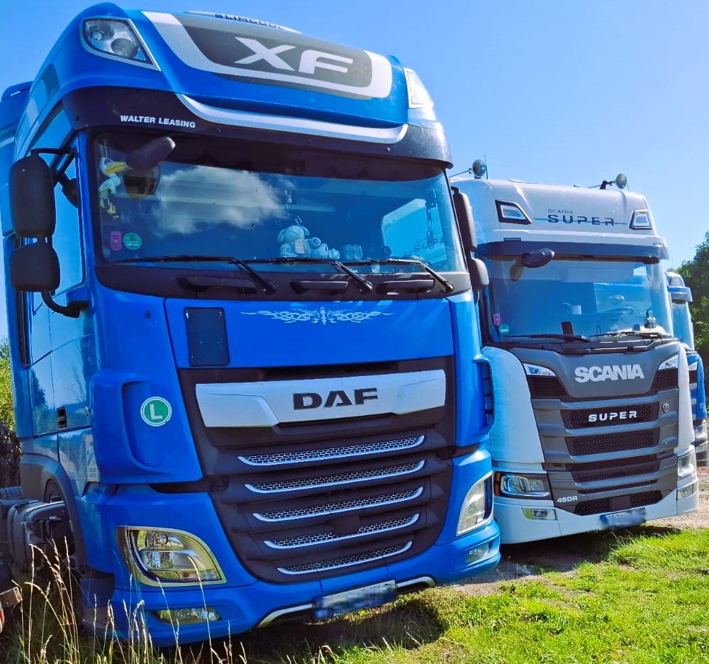 Delpy Logistic foto 3
