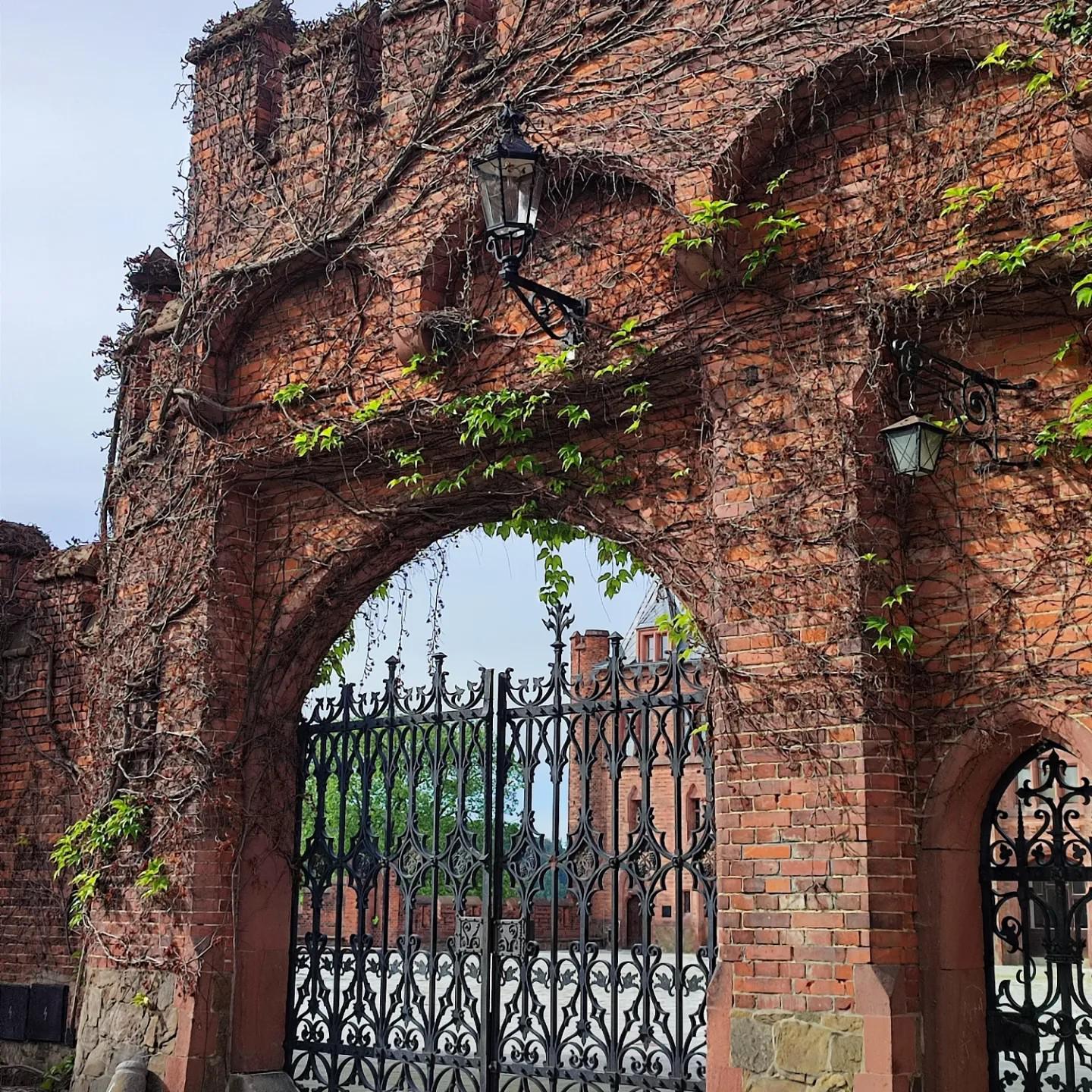 Státní zámek Hradec nad Moravicí foto 5