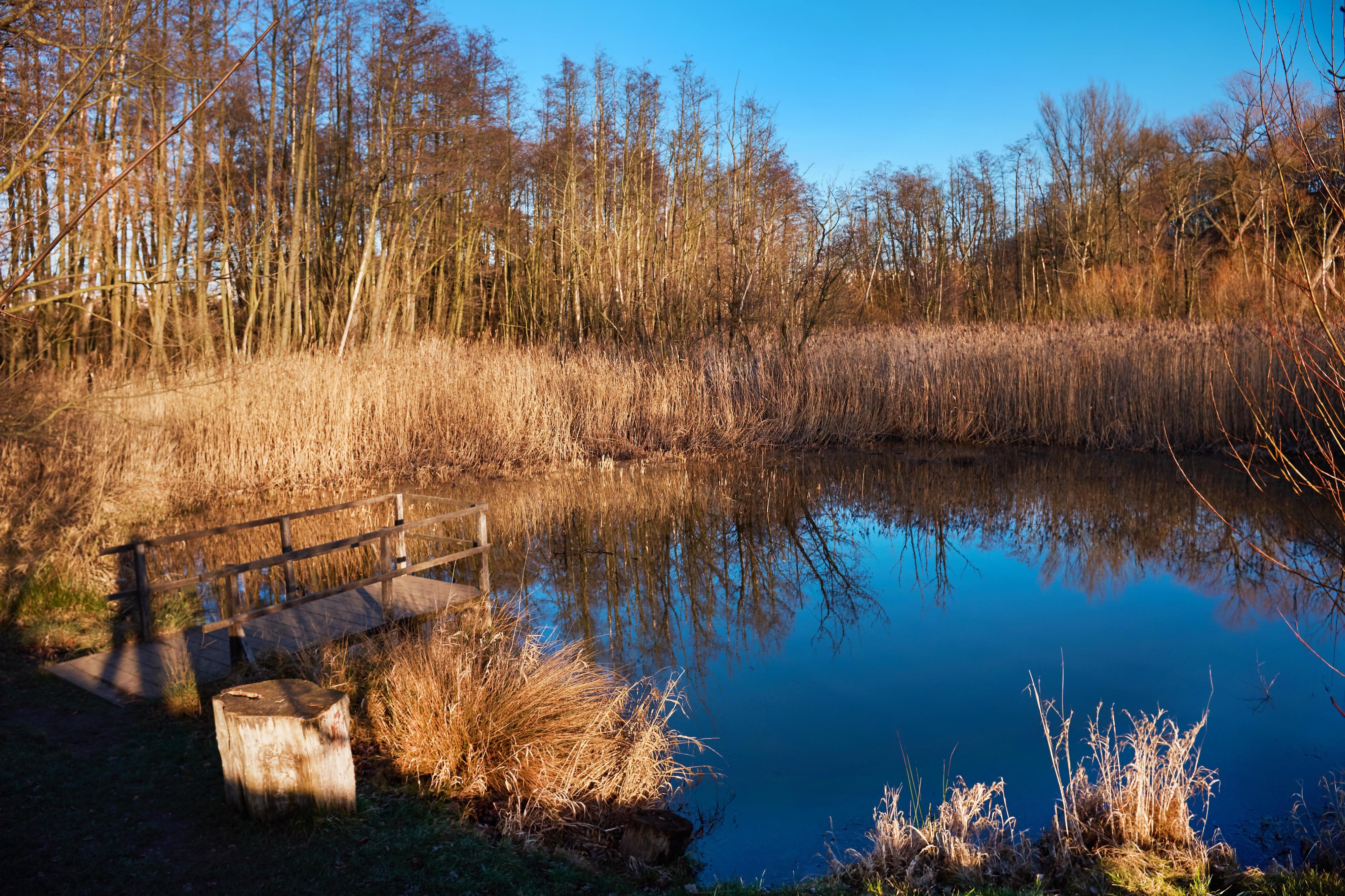 Botič o.p.s. foto 5
