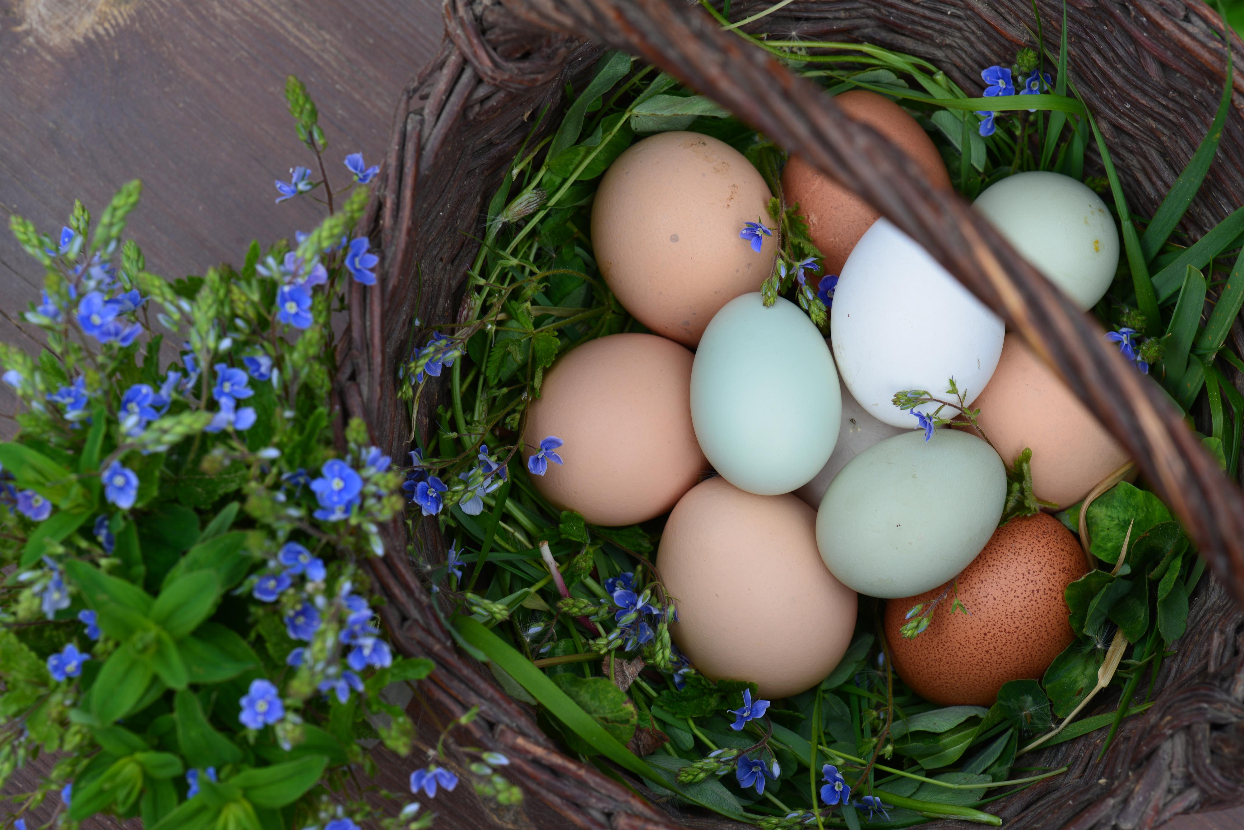 Ranč Kristýnka foto 2