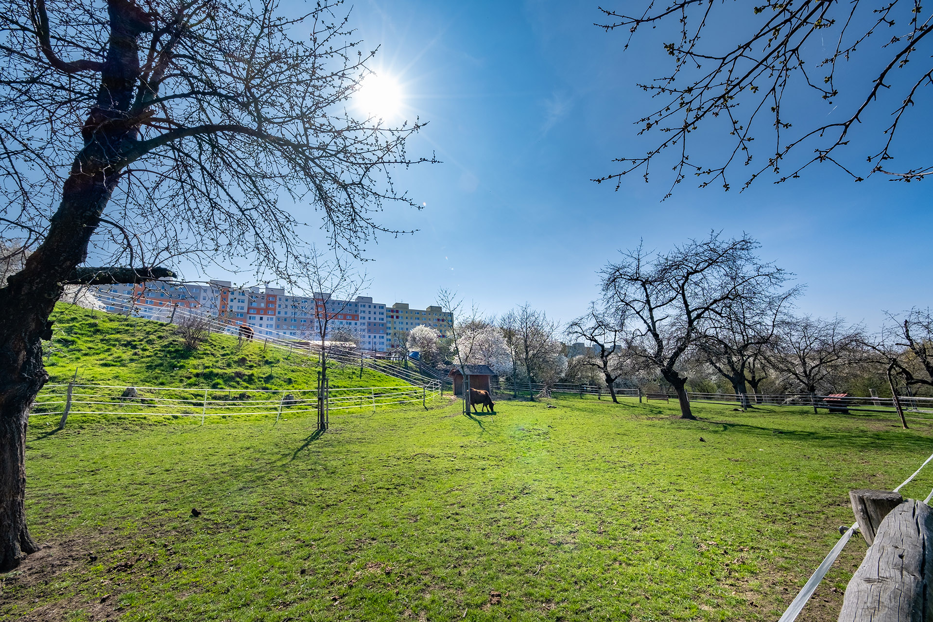 Botič o.p.s. foto 4
