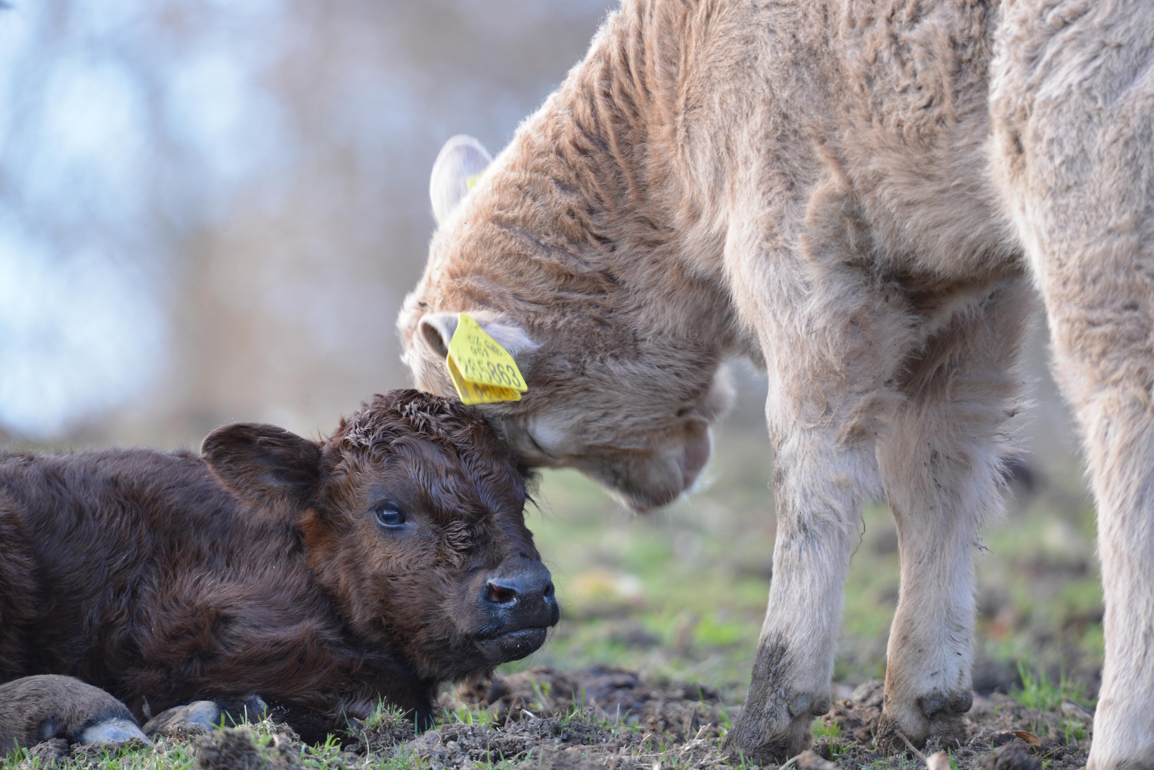 Ranč Kristýnka foto 4