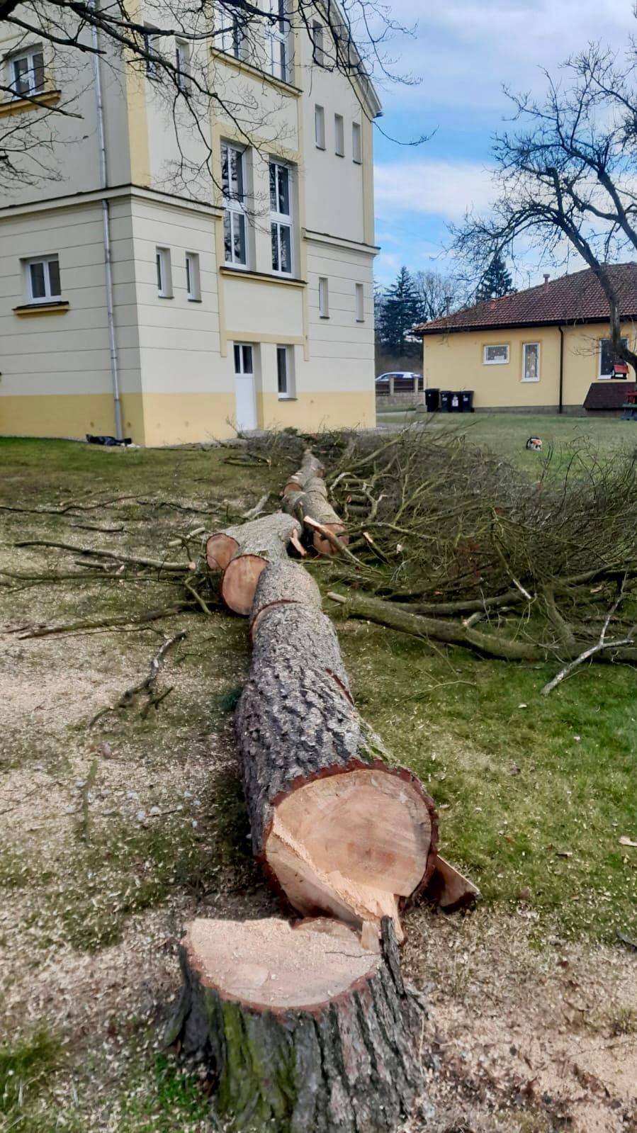 Dřevorubec Věroslav Varmuža foto 3
