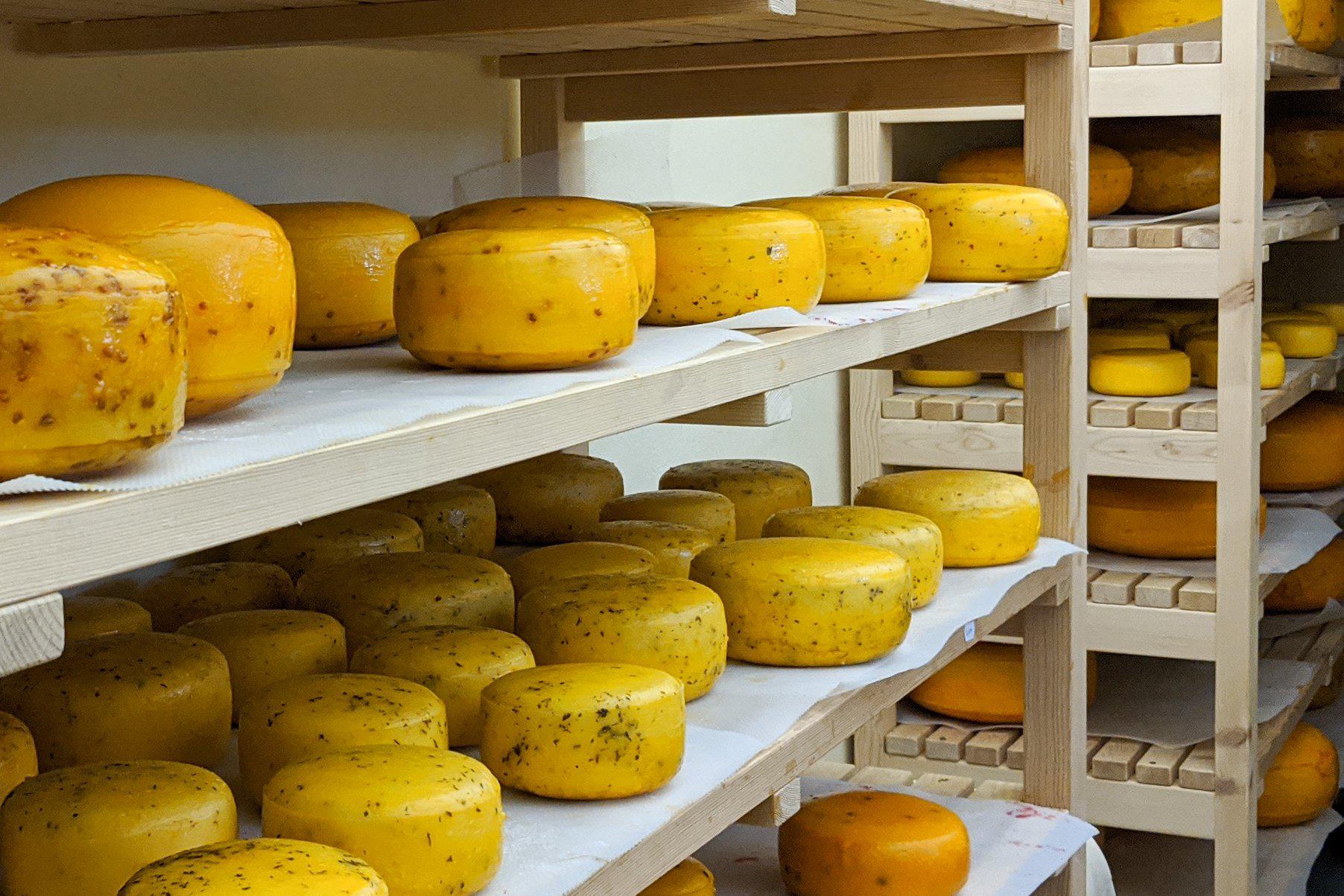 TonKa - sýrárna na statku