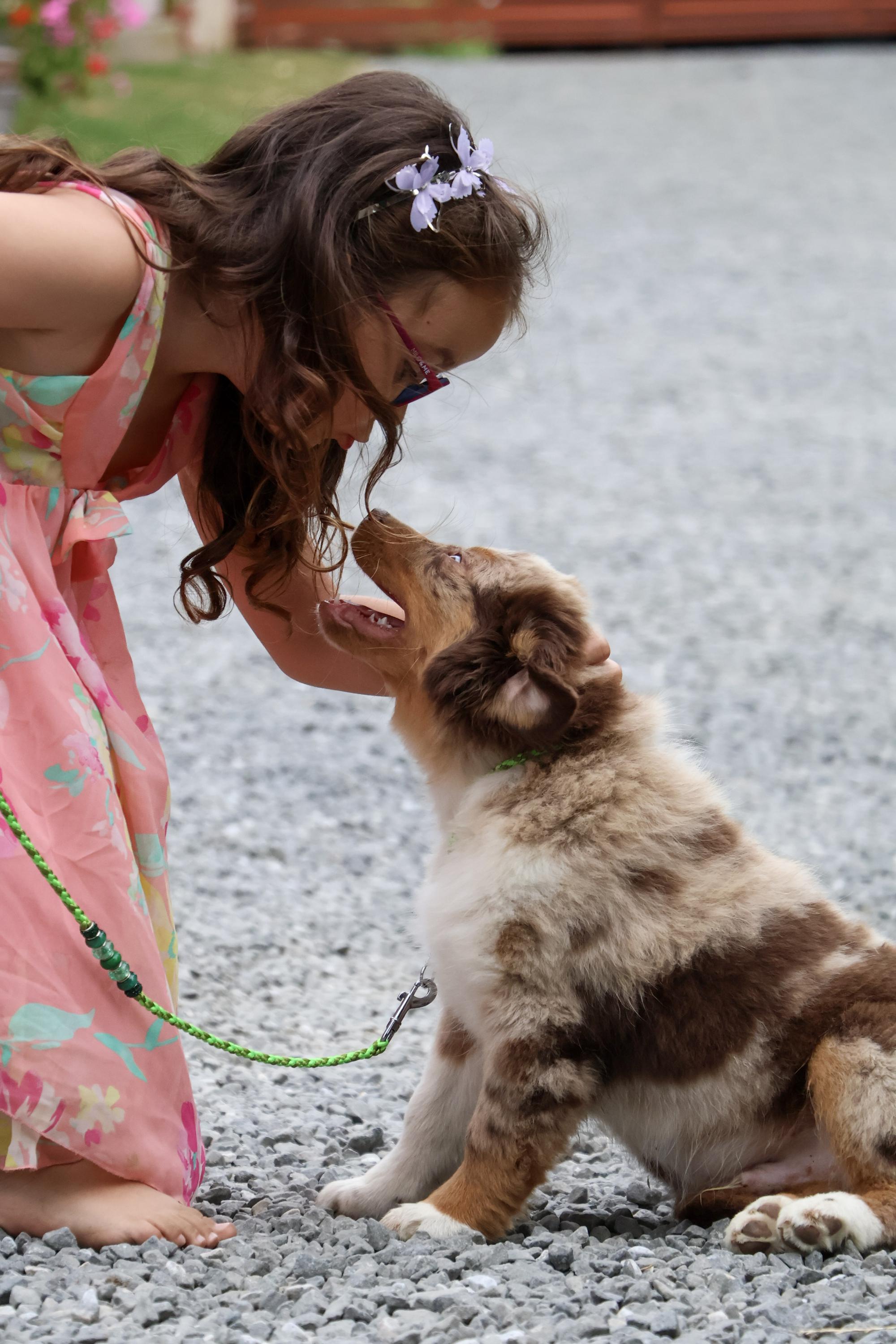 Baradeon ranch & kennel foto 4