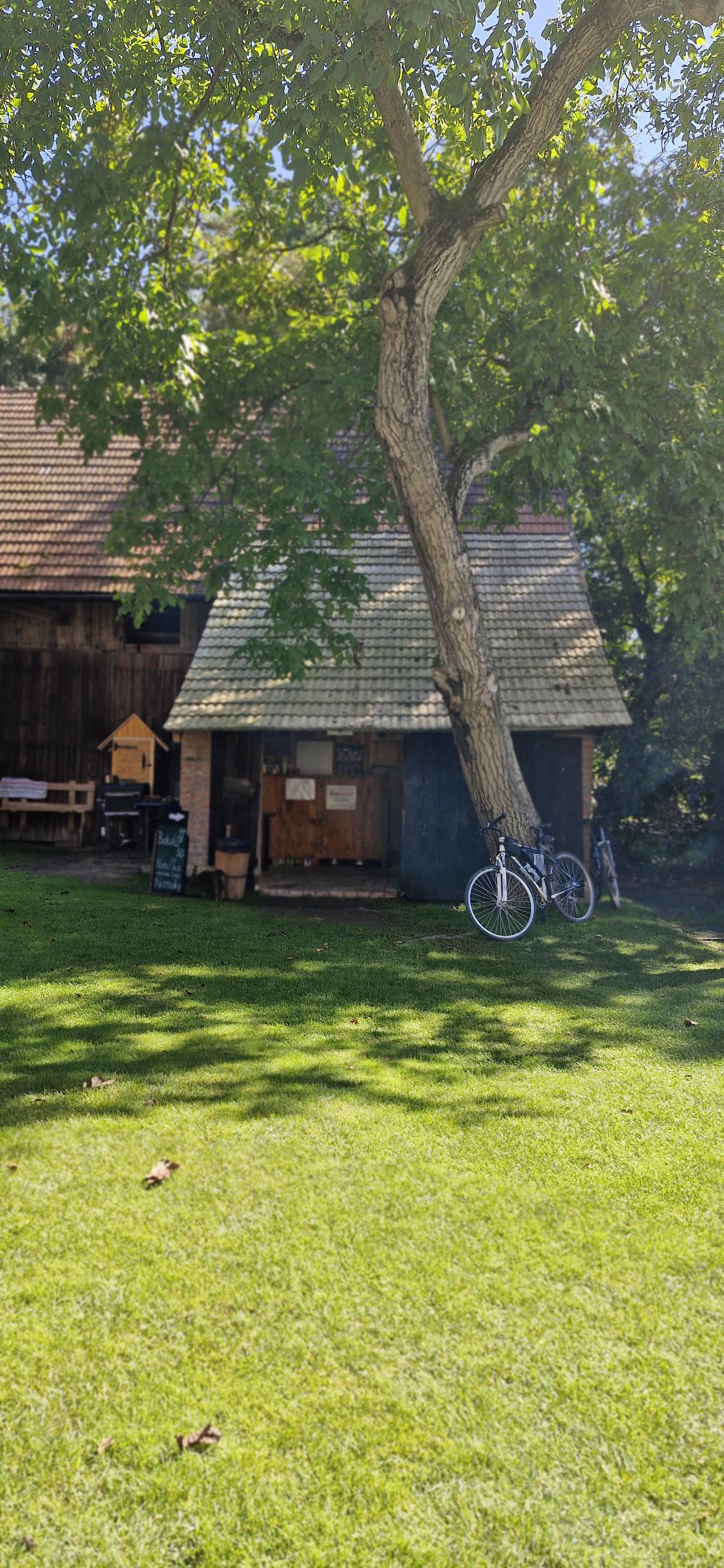 Bar u Máchala foto 6