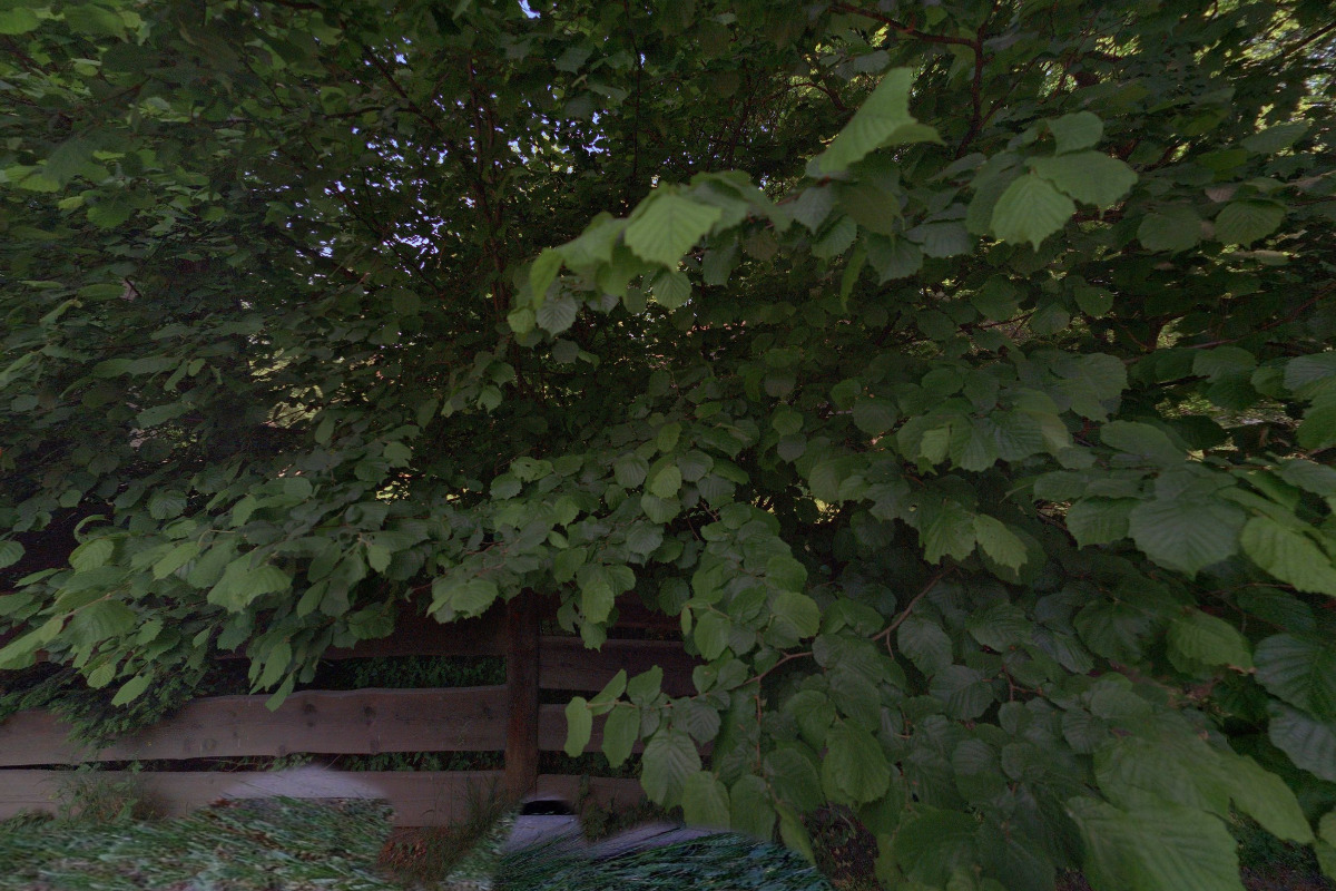 Občerstvení Dřevěné městečko foto 2