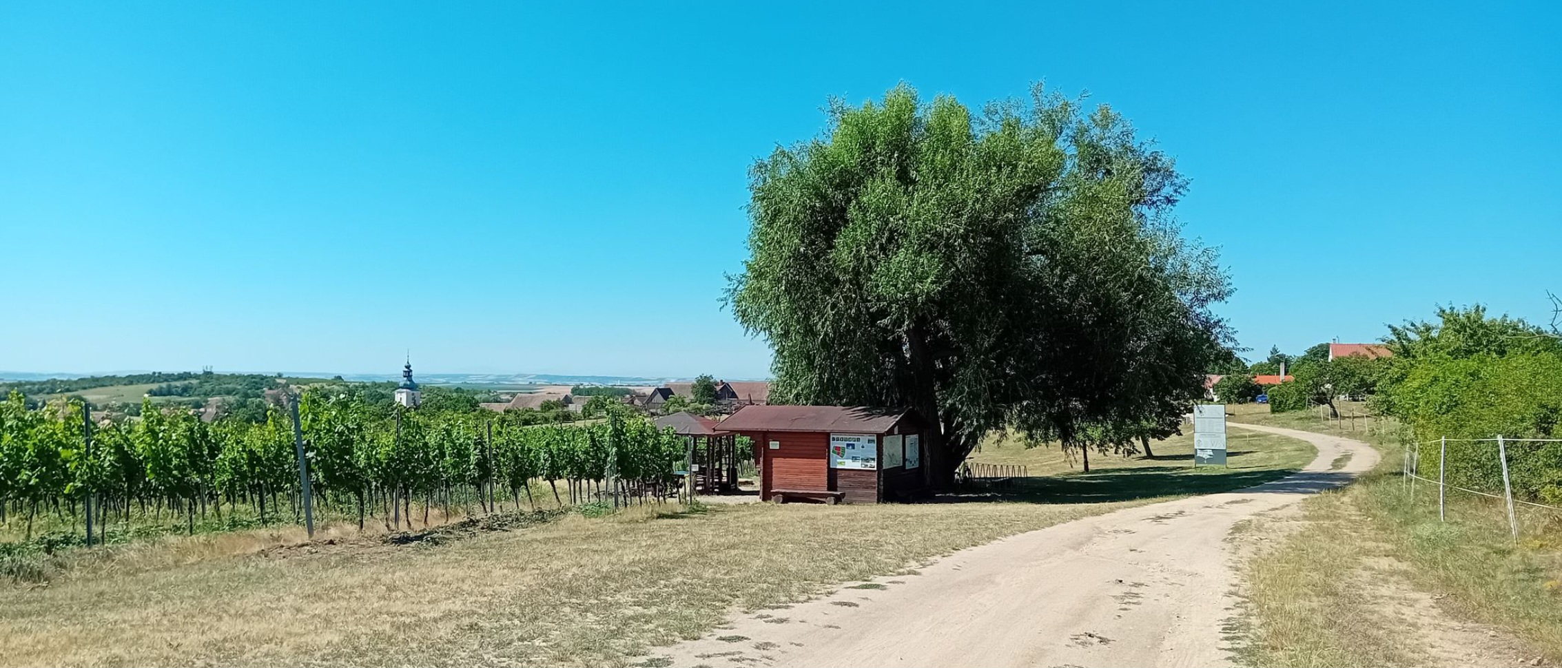 ZNOVÍN ZNOJMO - ochutnávkový stánek foto 3