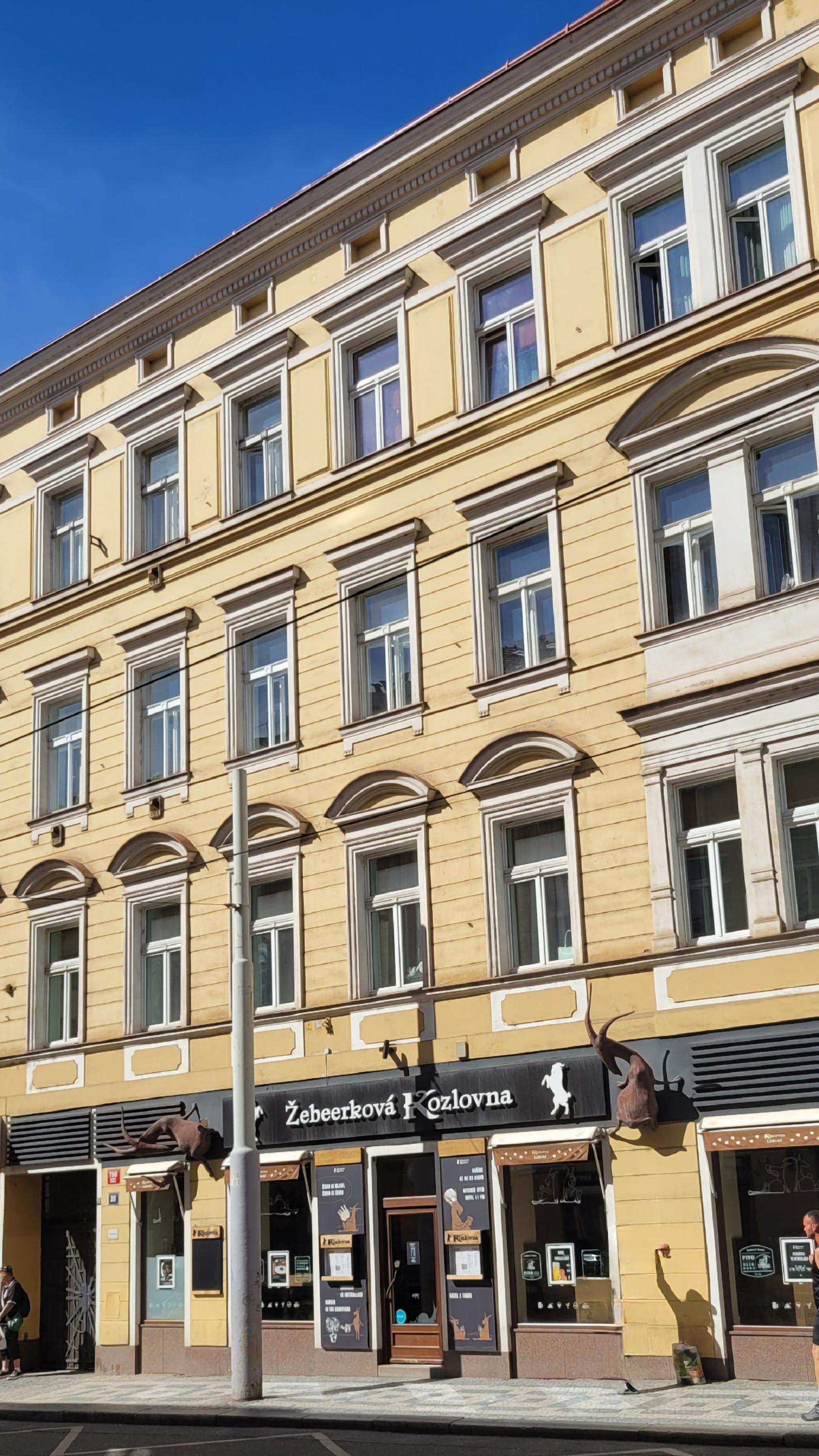 Žebeerková Kozlovna foto 2