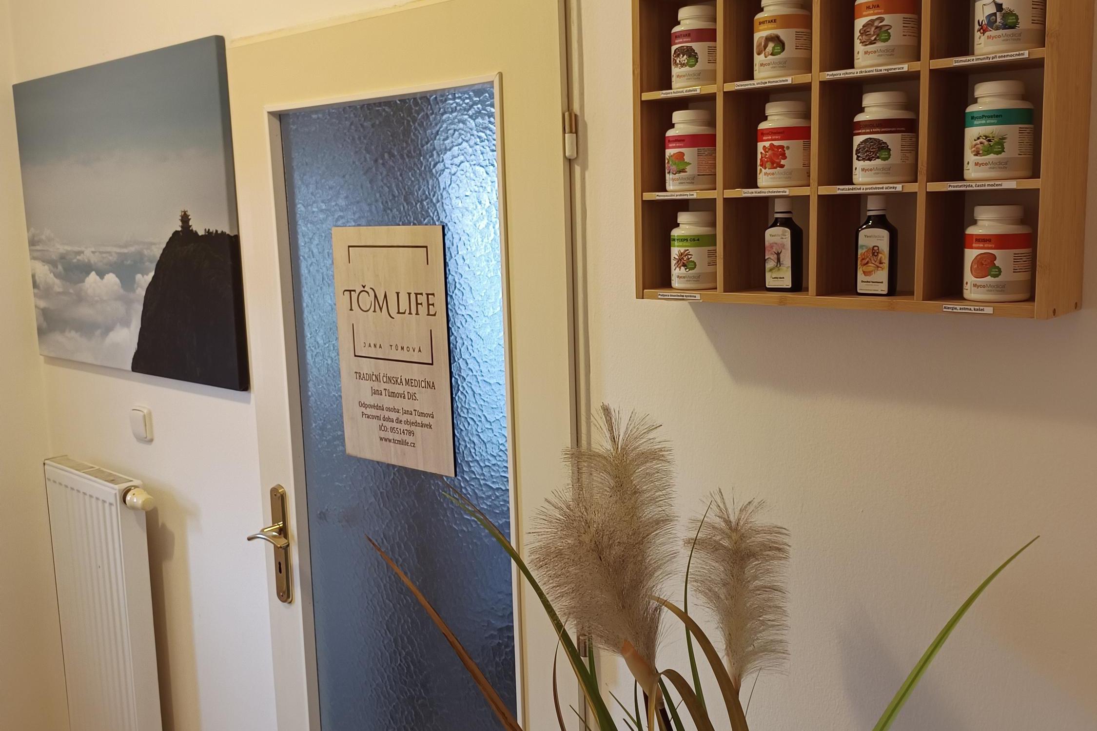 Tradiční čínská medicína - Jana Tůmová, DiS.