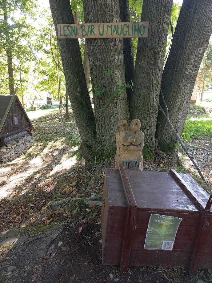 Lesní bar u Mauglího foto 2