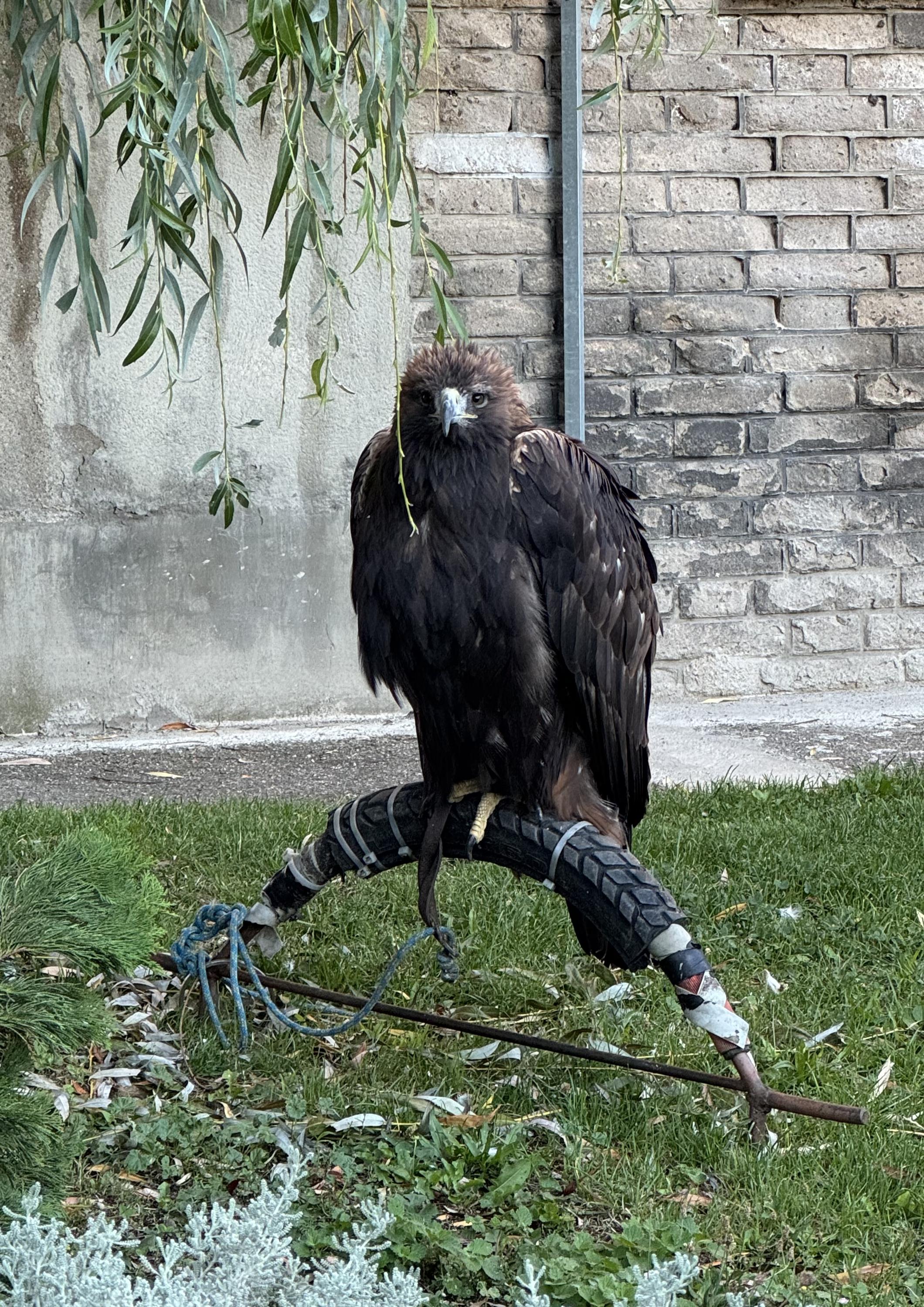 Farnost Evangelické církve metodistické ve Slaném foto 5
