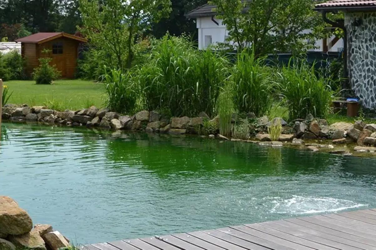 Star-fish jezírka, s.r.o.