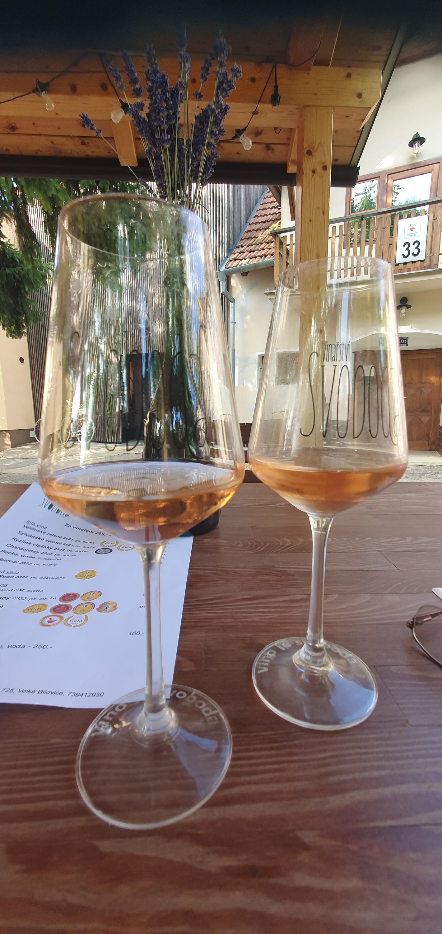 Vinařství Svoboda foto 4