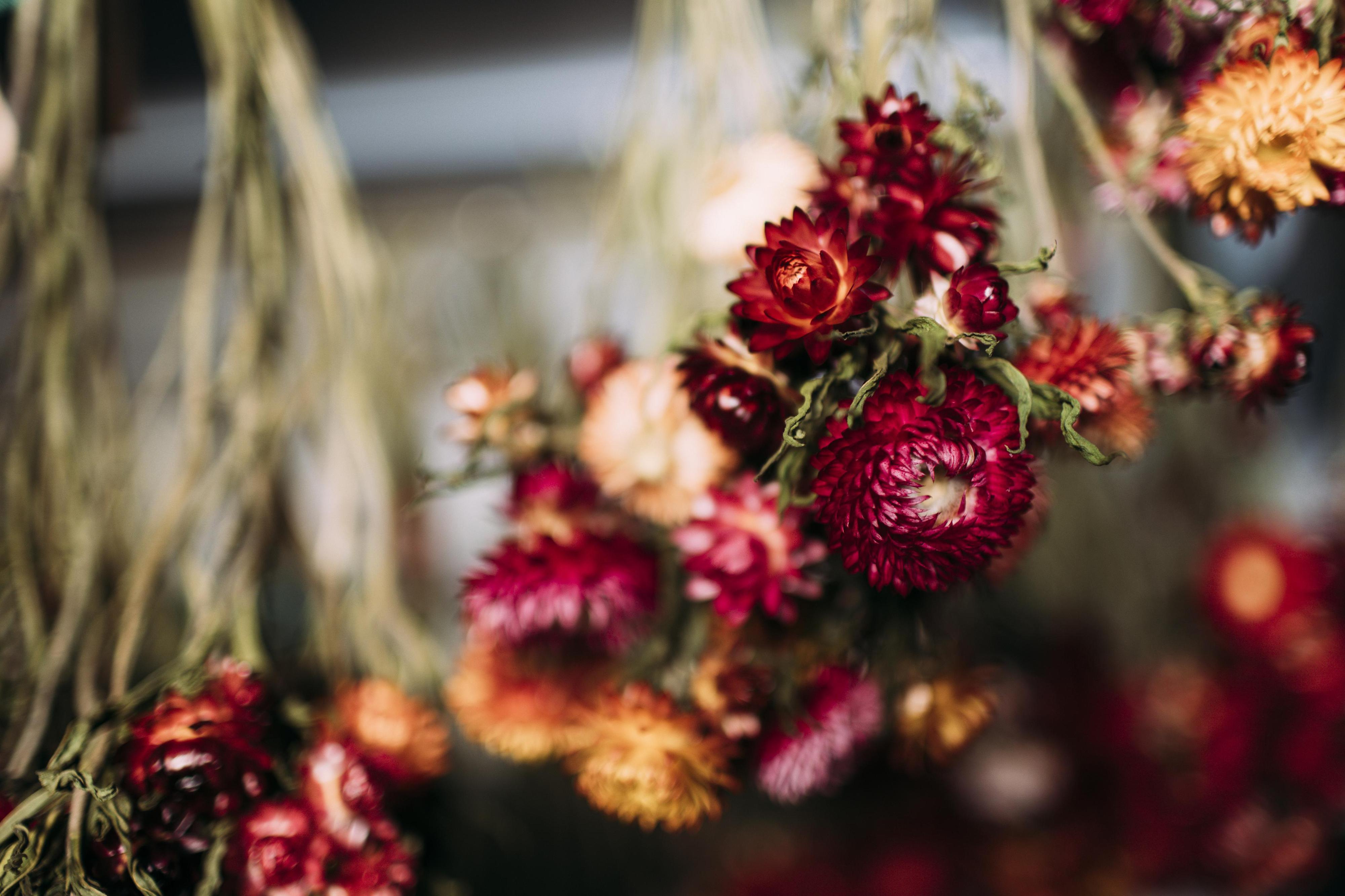 Květinový automat Vitenplant