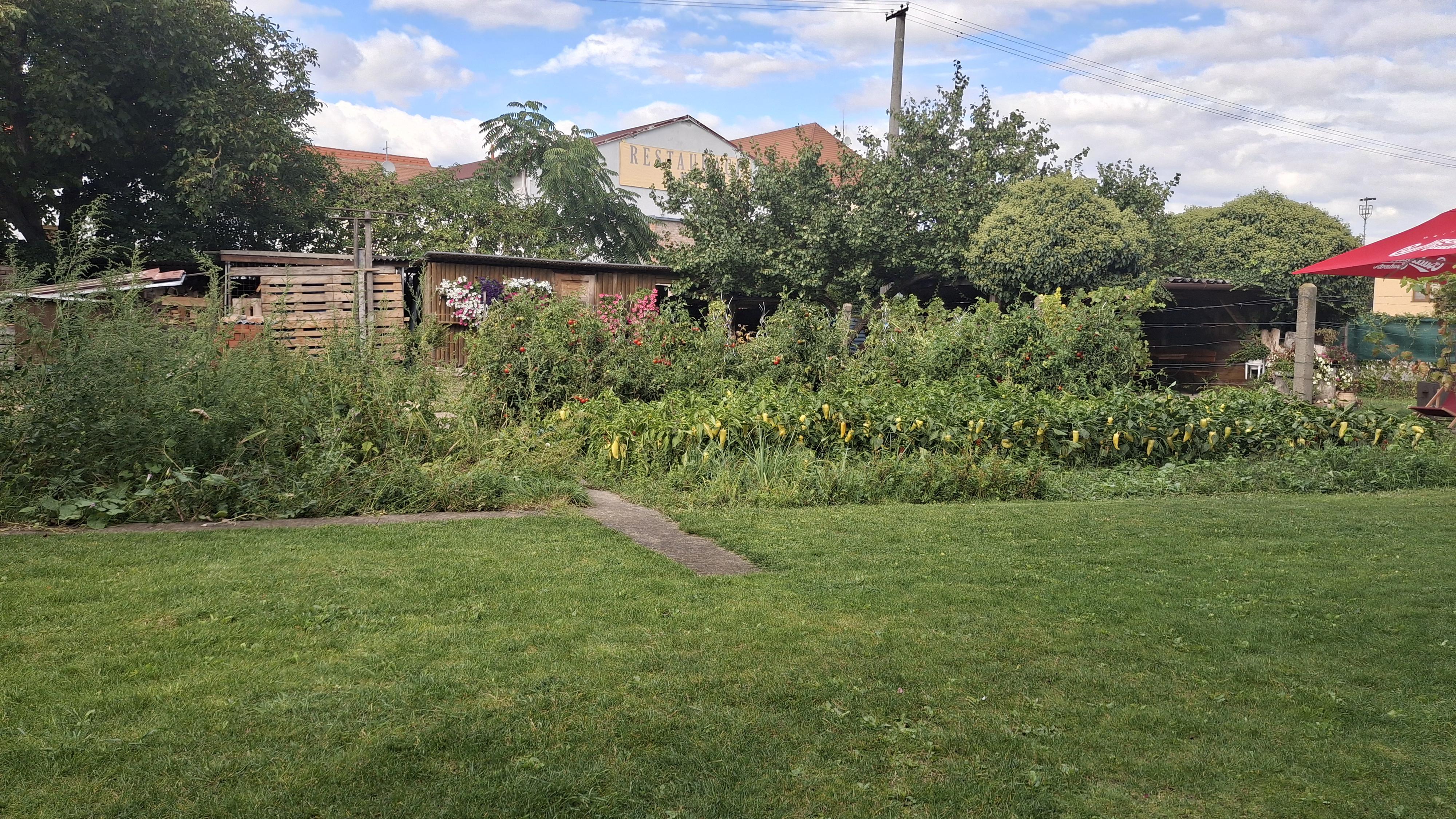 Ubytování Zahrada foto 3