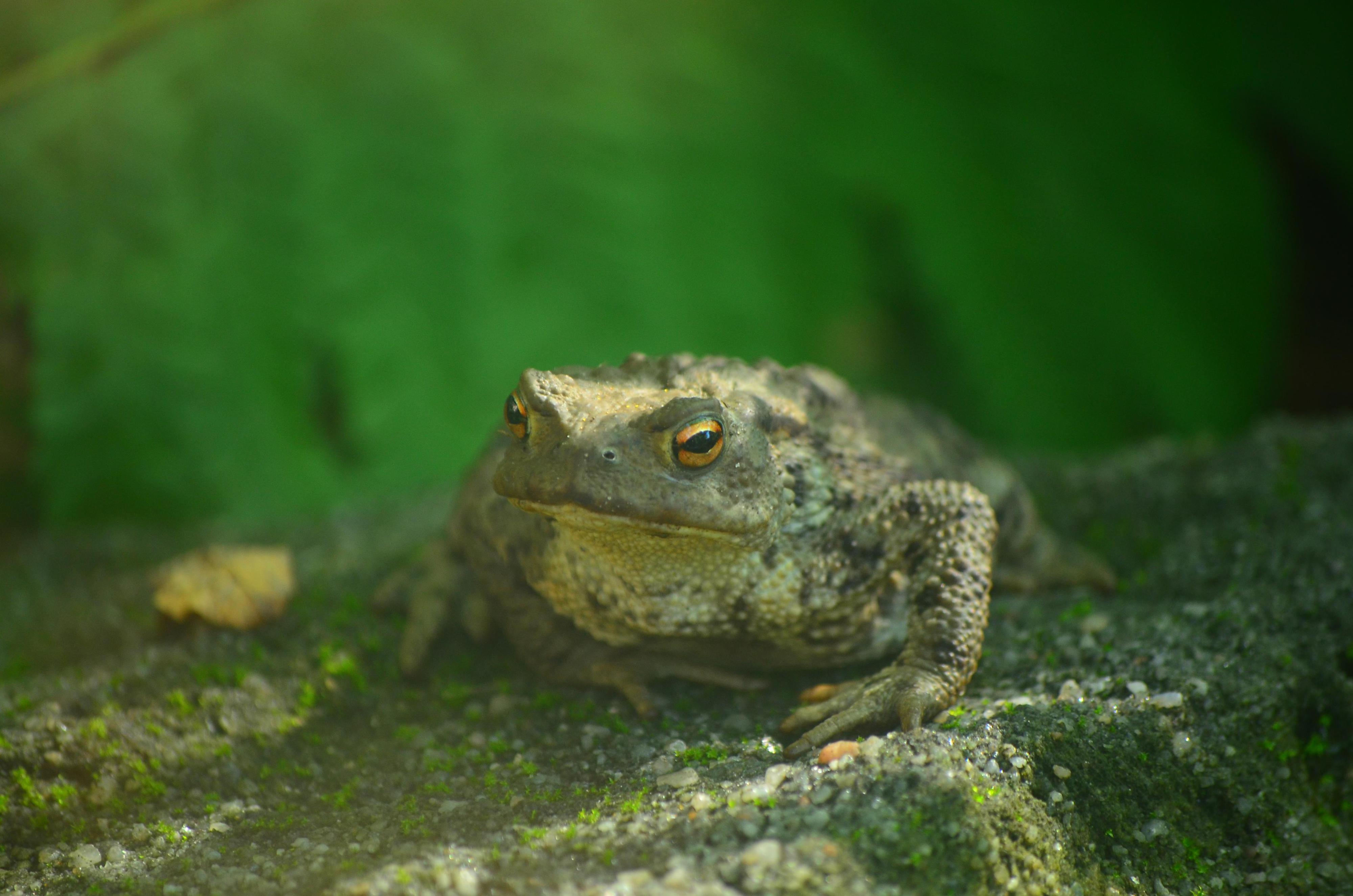 Zoo Děčín foto 4