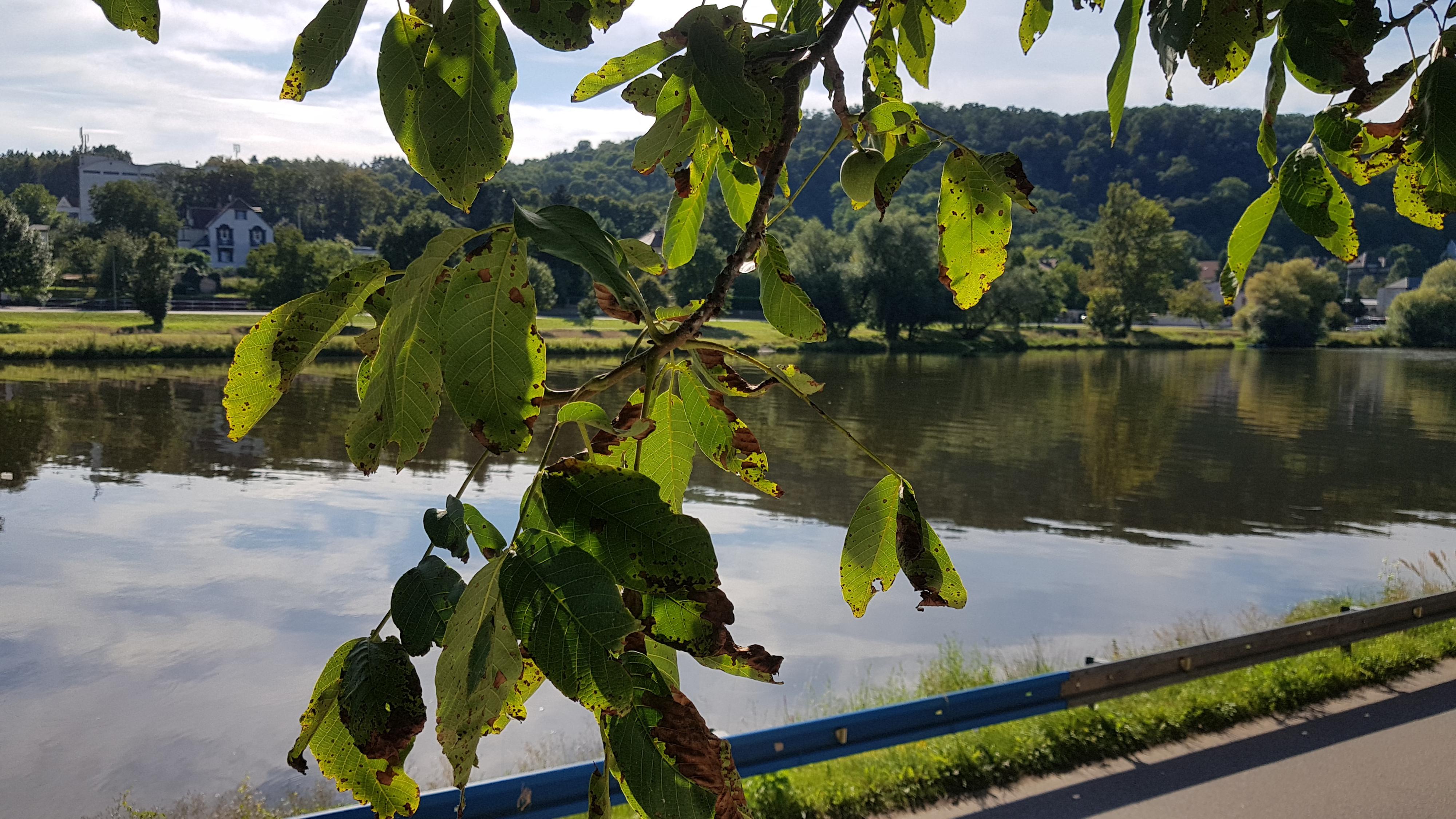 Občerstvení U Sluníčka foto 4