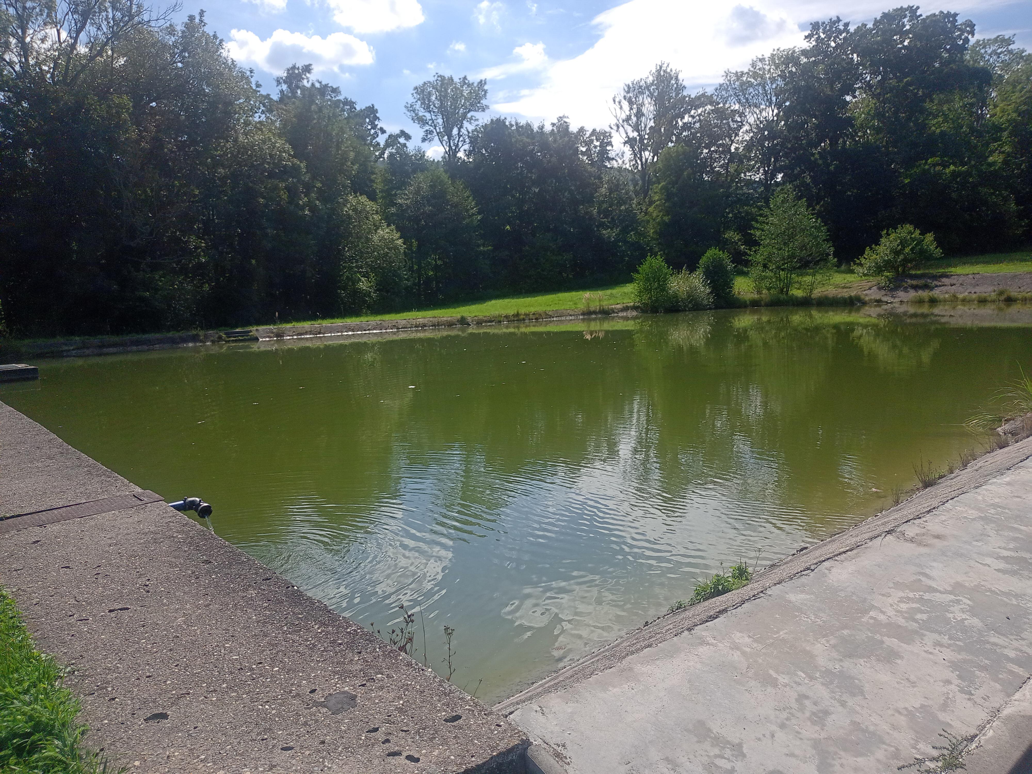 Koupaliště Malšovice foto 6