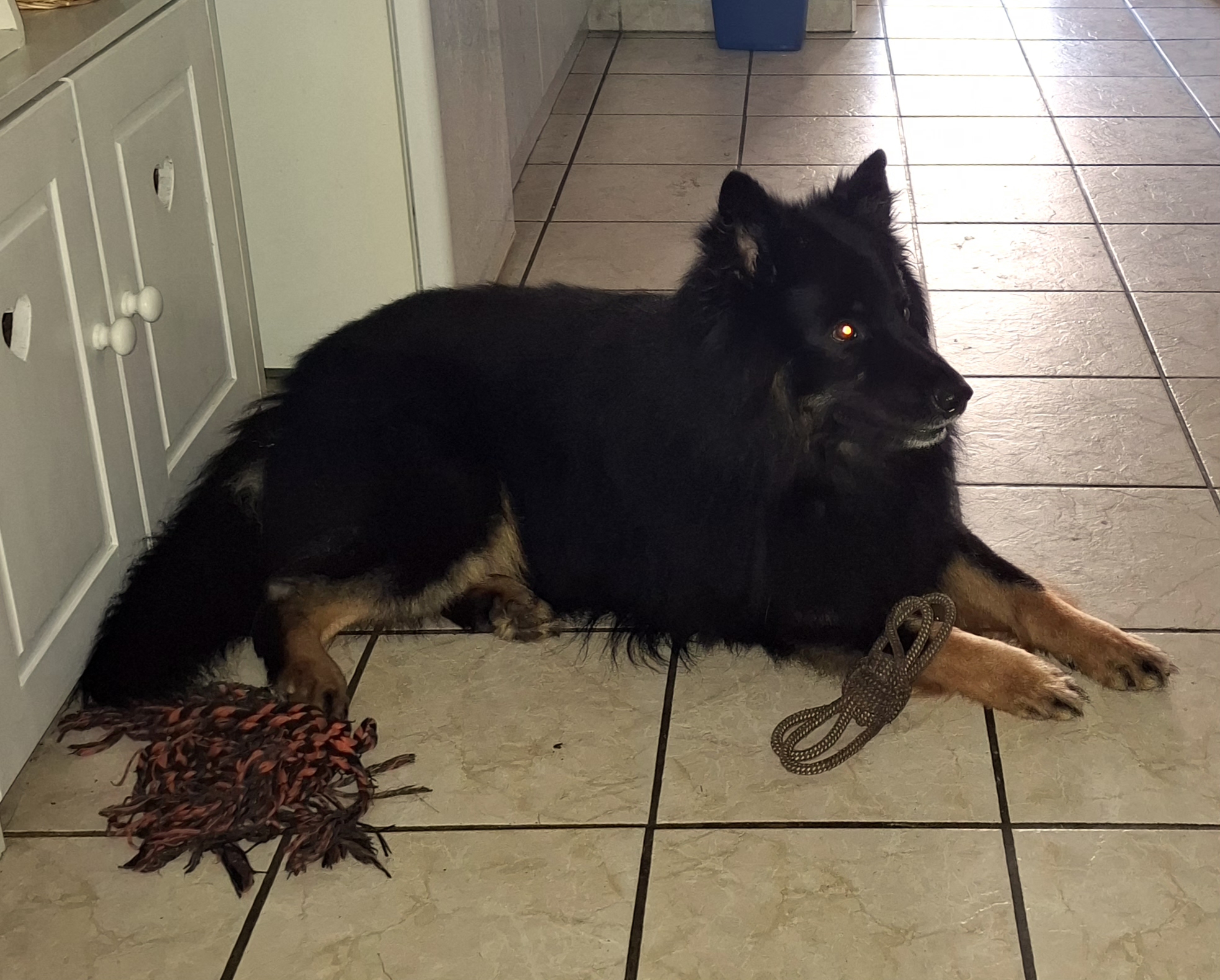 Penzion Montana foto 3