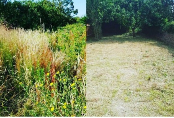 K&K garden & forest servis foto 4