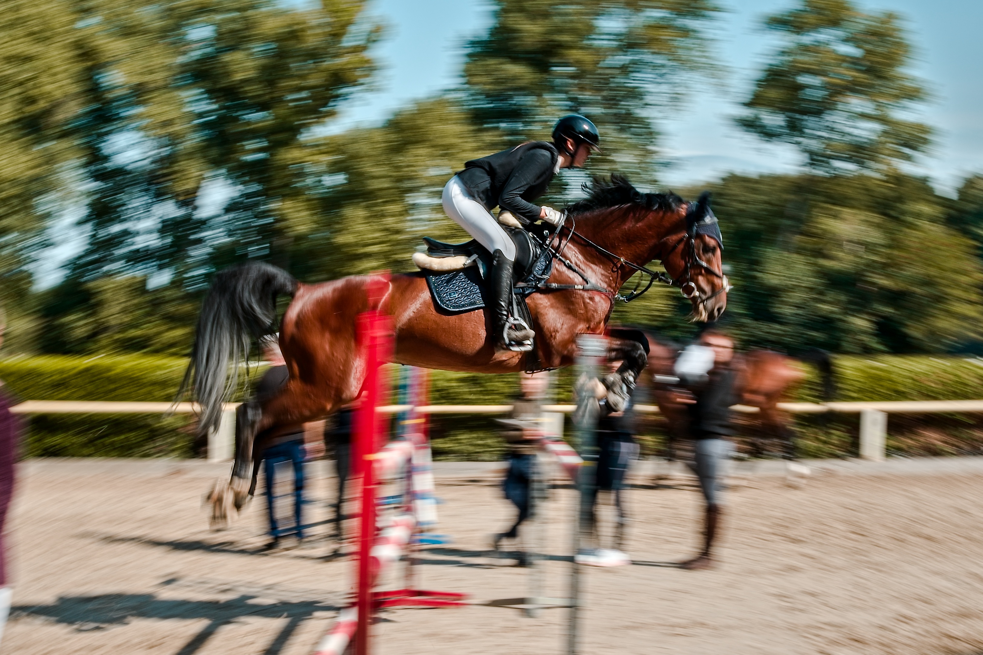 Vít Zahajský - fotograf foto 4