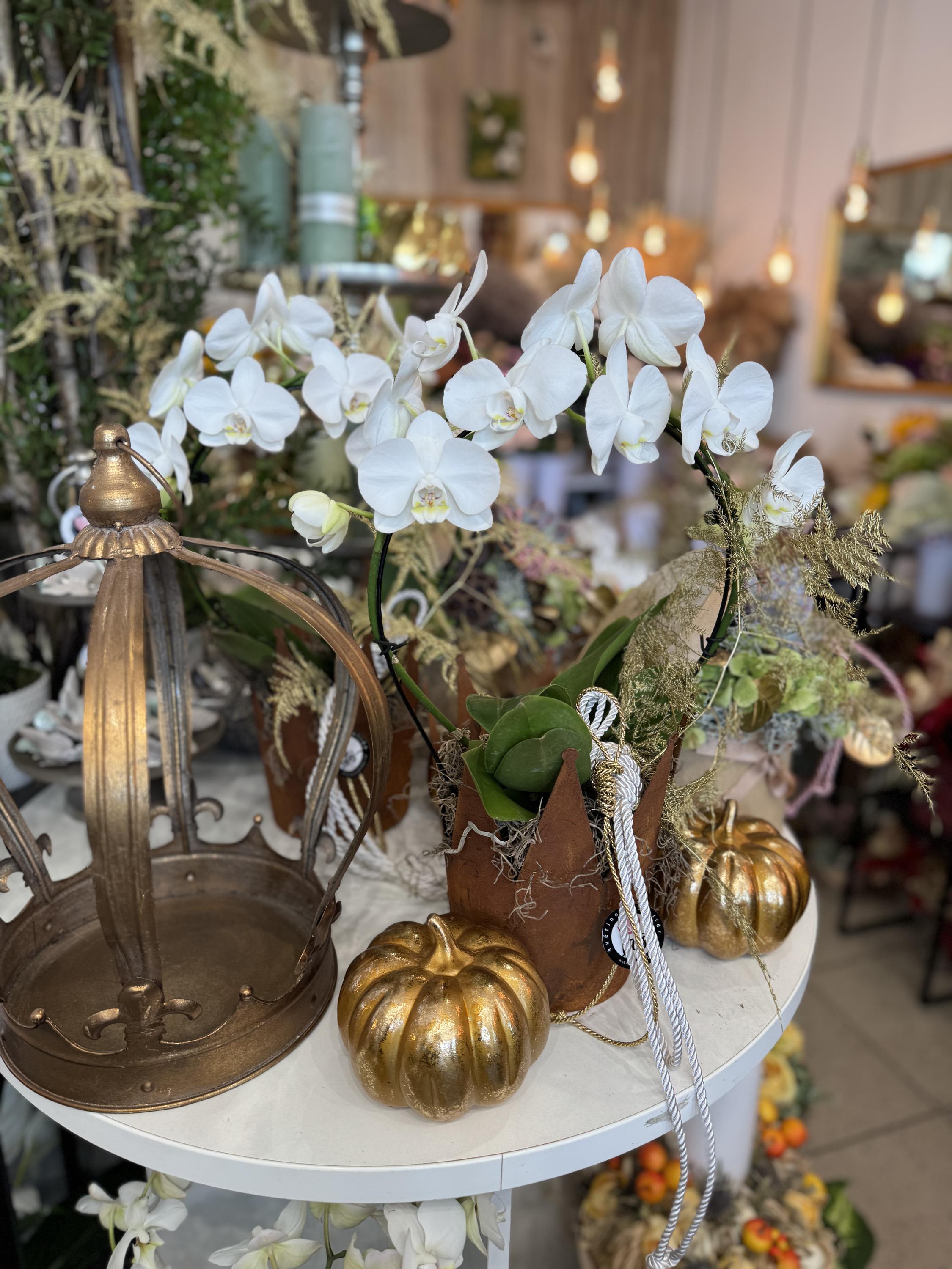 Květinový Ateliér Lotos foto 5