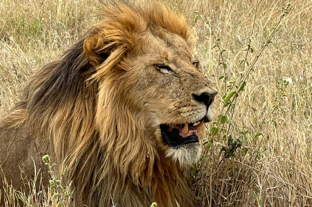 Nature Responsible Safari Czech Republic s.r.o.