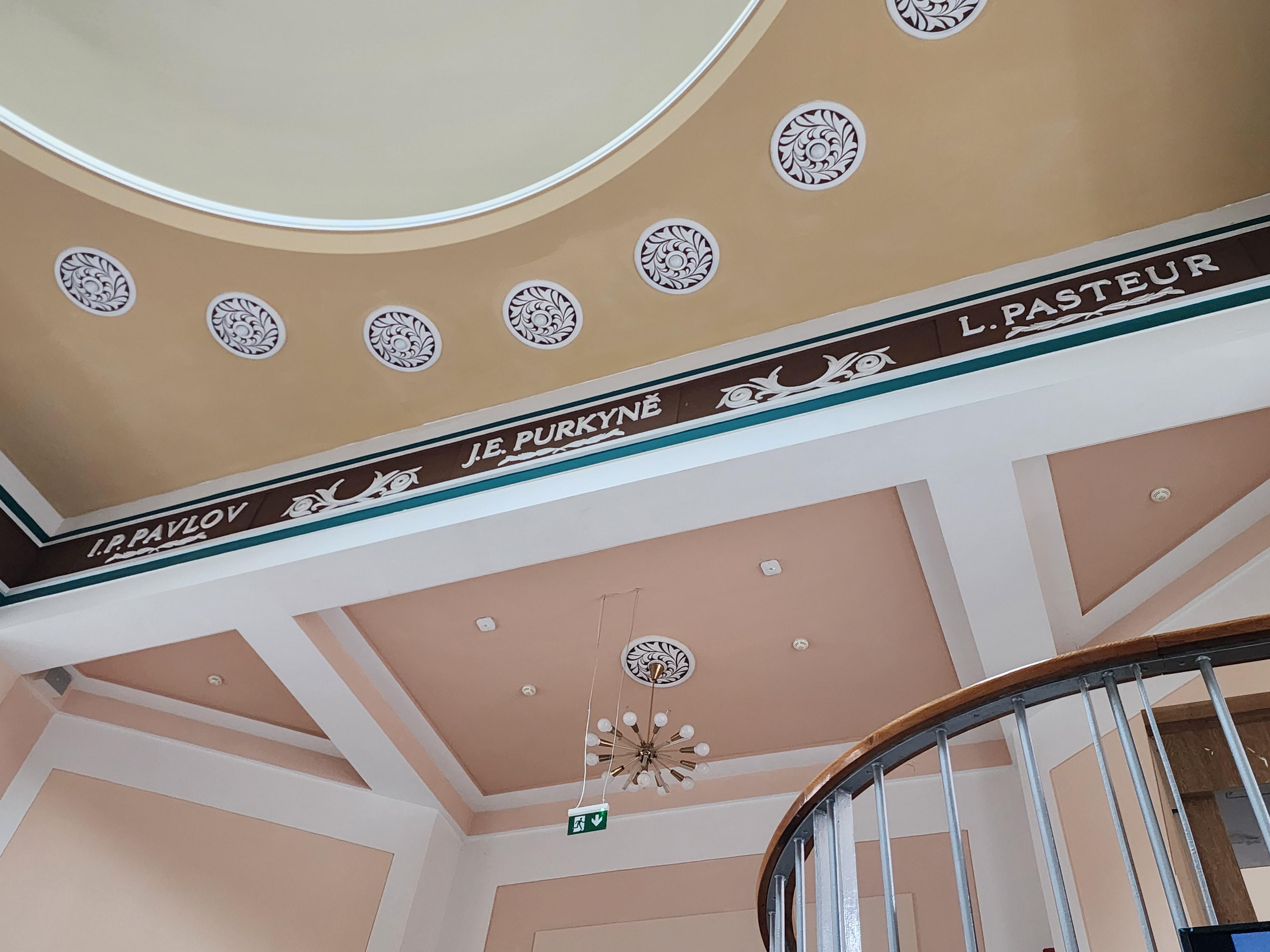 Univerzita Palackého v Olomouci - Lékařská fakulta foto 5