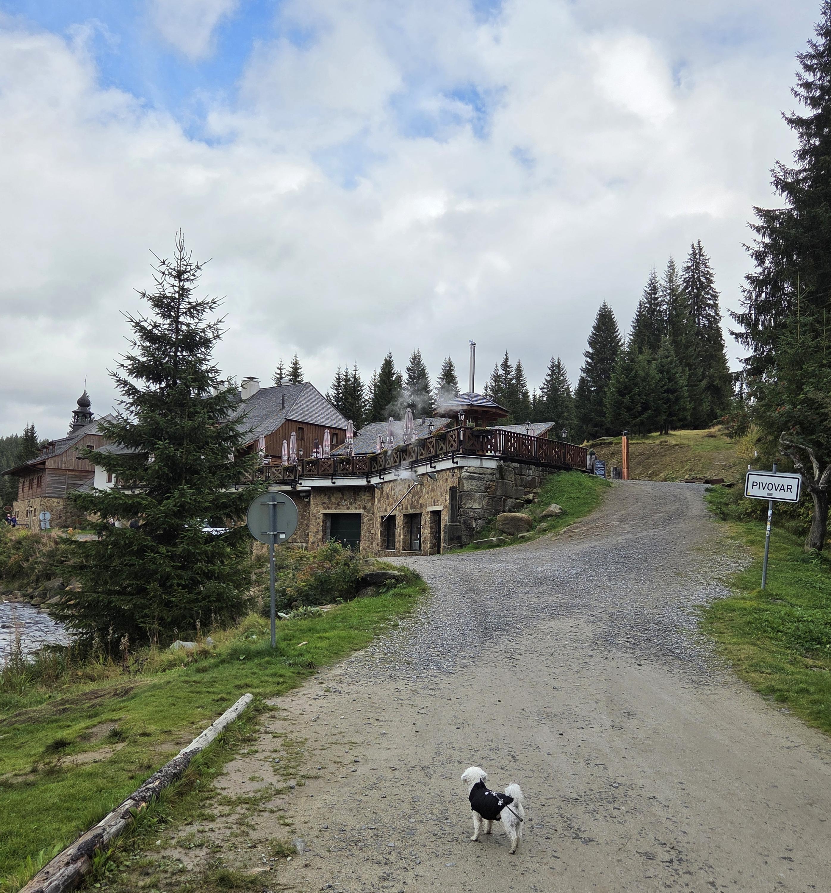 Pivovar Lyer - penzion foto 6