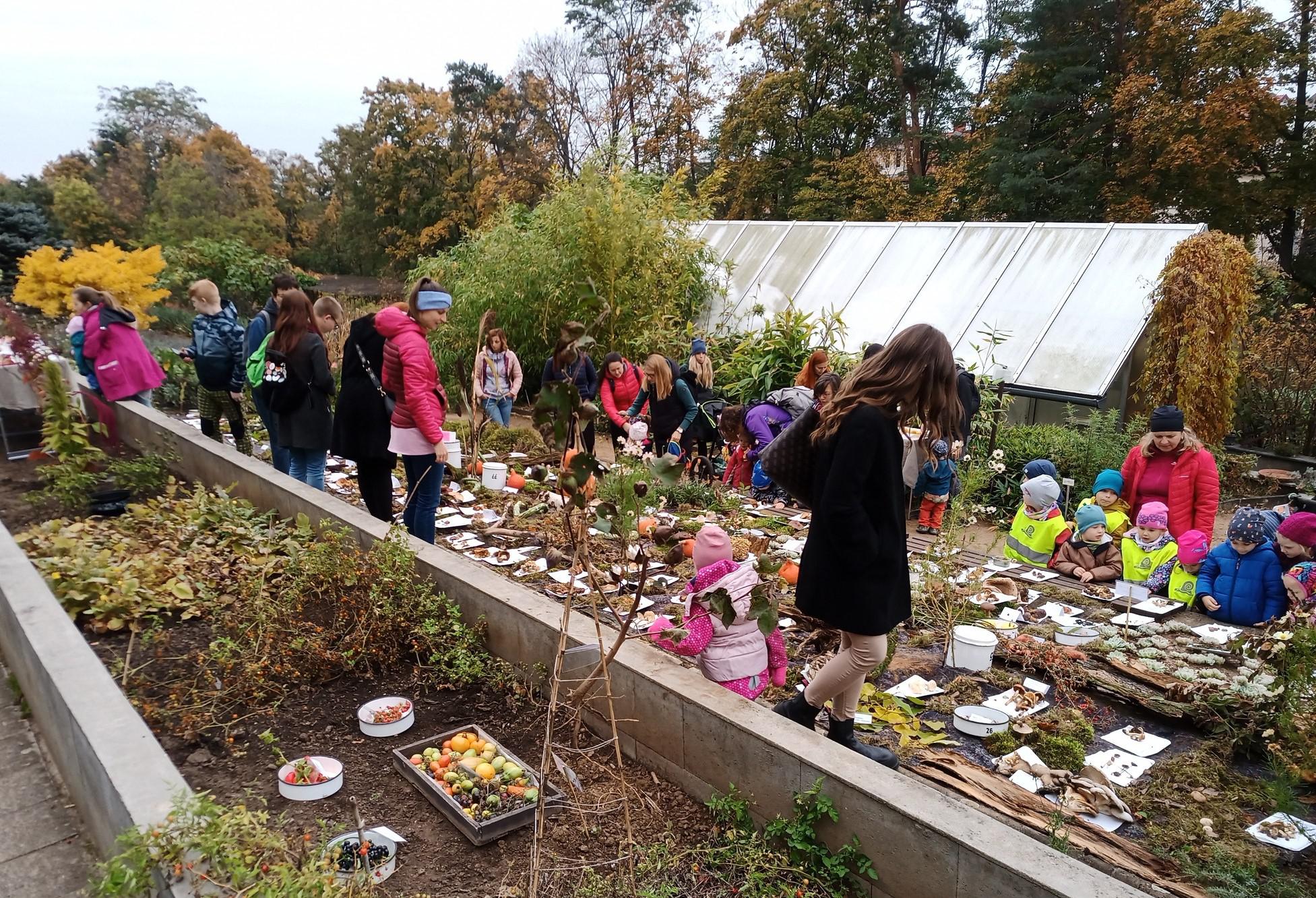 Centrum léčivých rostlin Lékařské fakulty Masarykovy univerzity foto 6