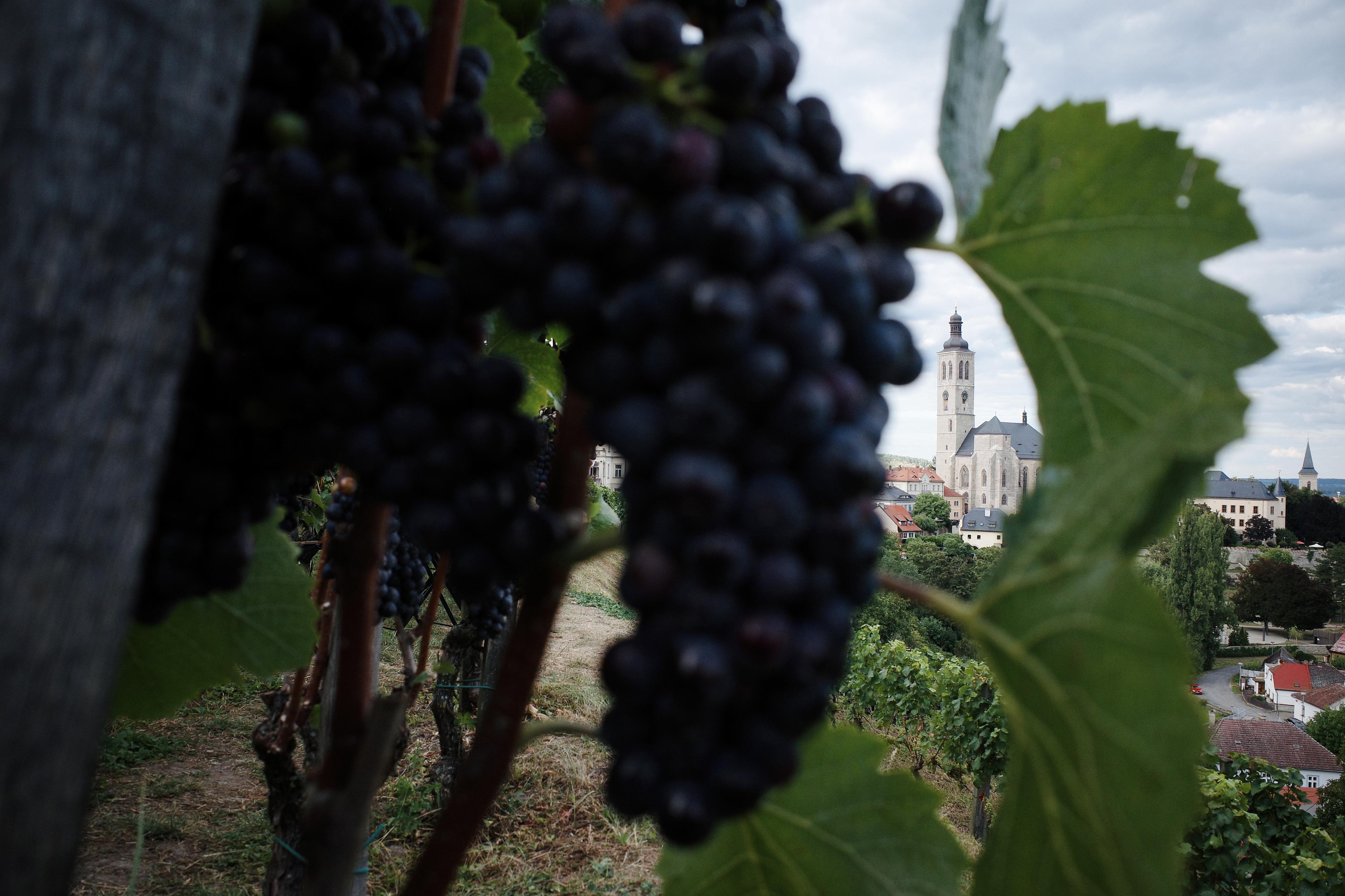 Stánek u kaple Božího těla foto 4