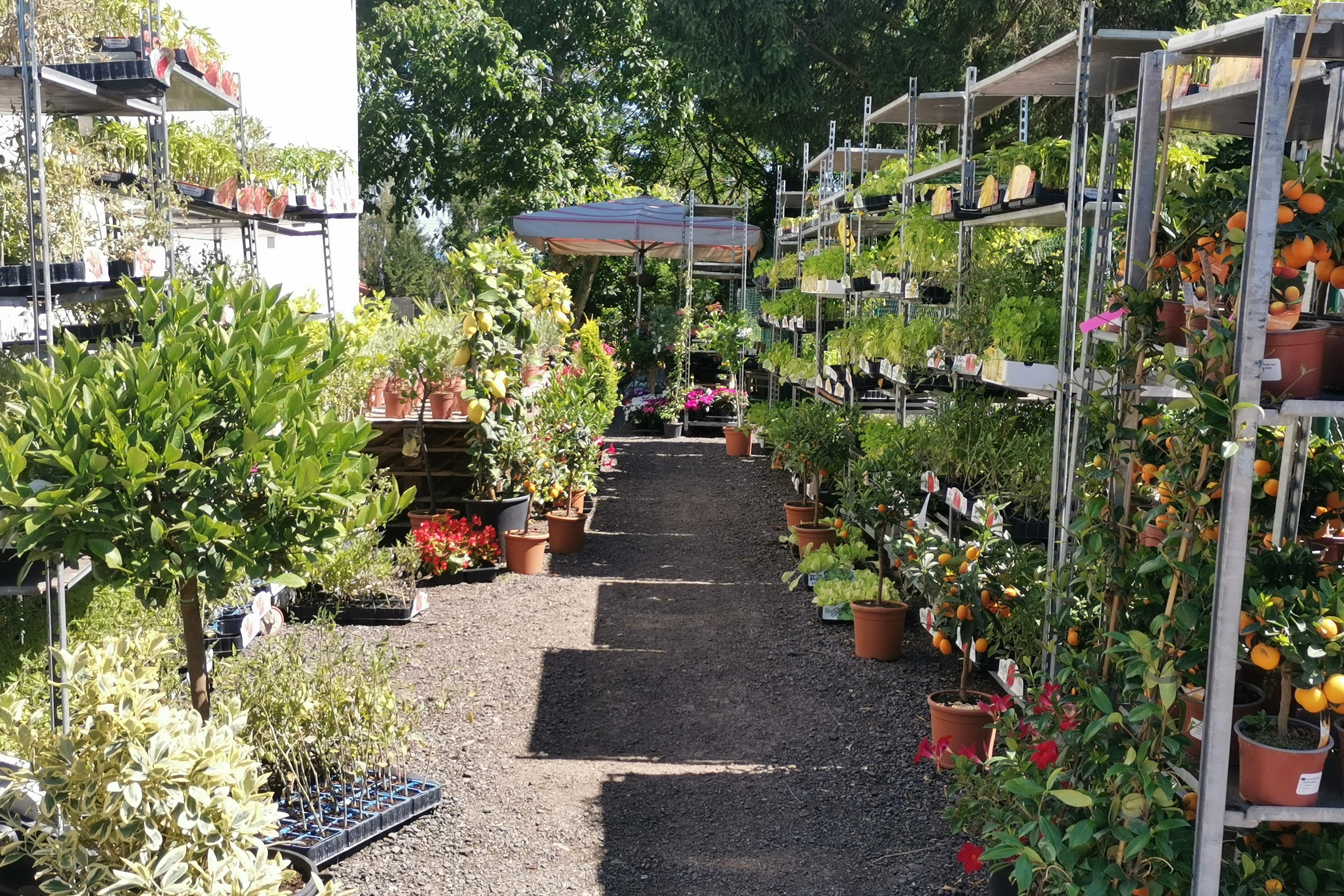 Zahradnictví Pavin.Italy s.r.o.