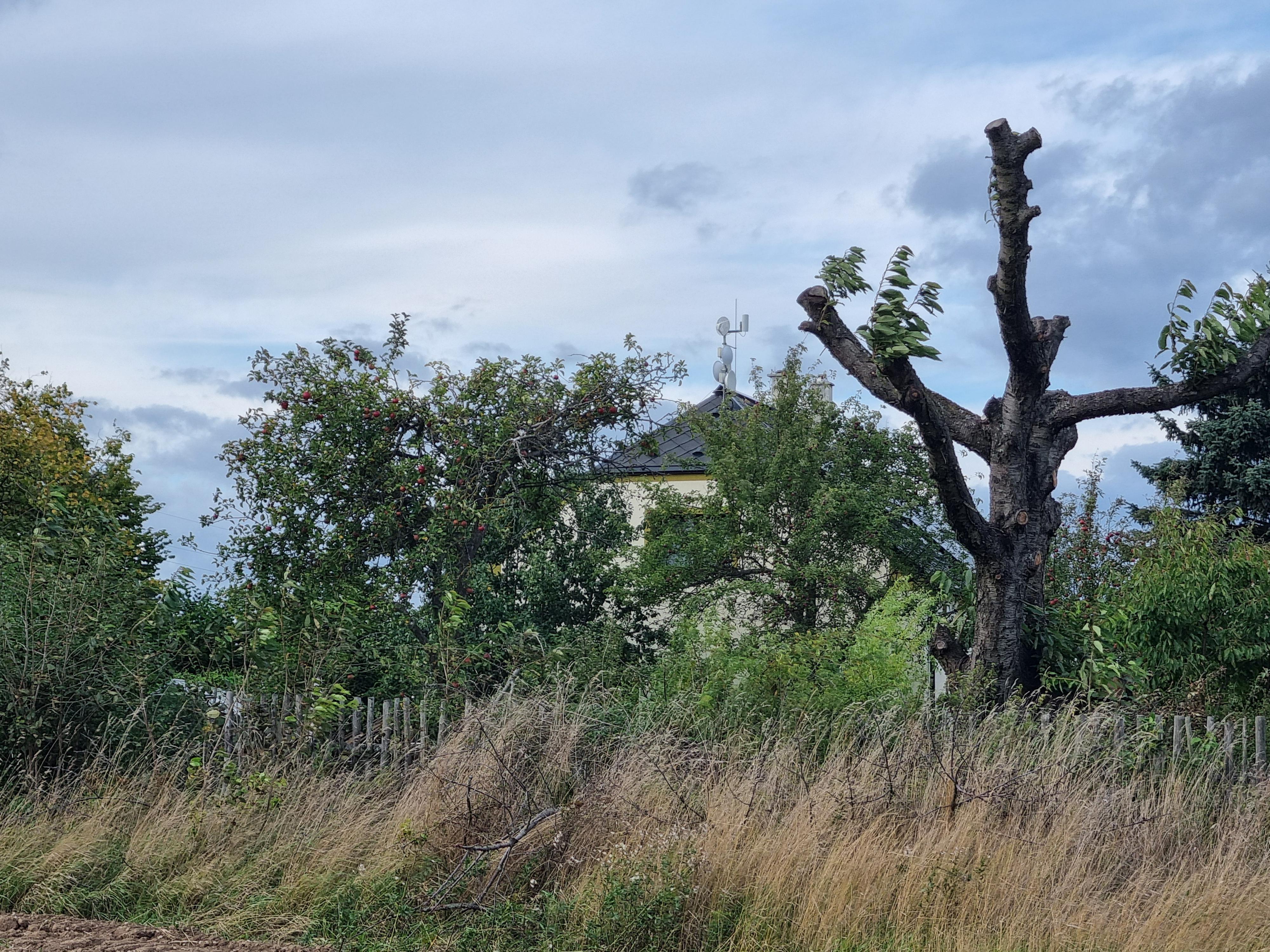 Zabezpečení a elektroinstalace Tadeáš Pinc, DiS. foto 2