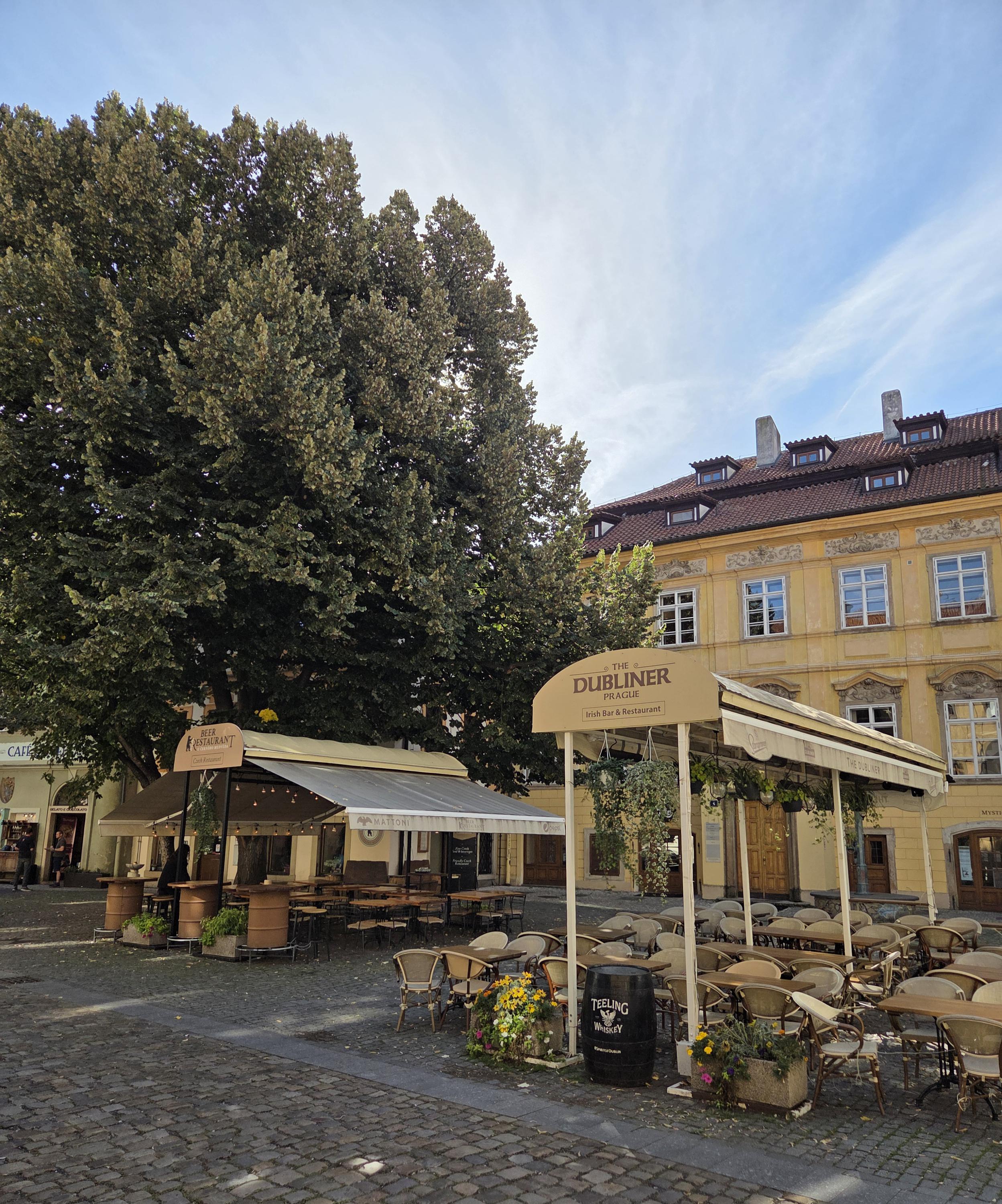 The Dubliner Irish Pub & Restaurant foto 4