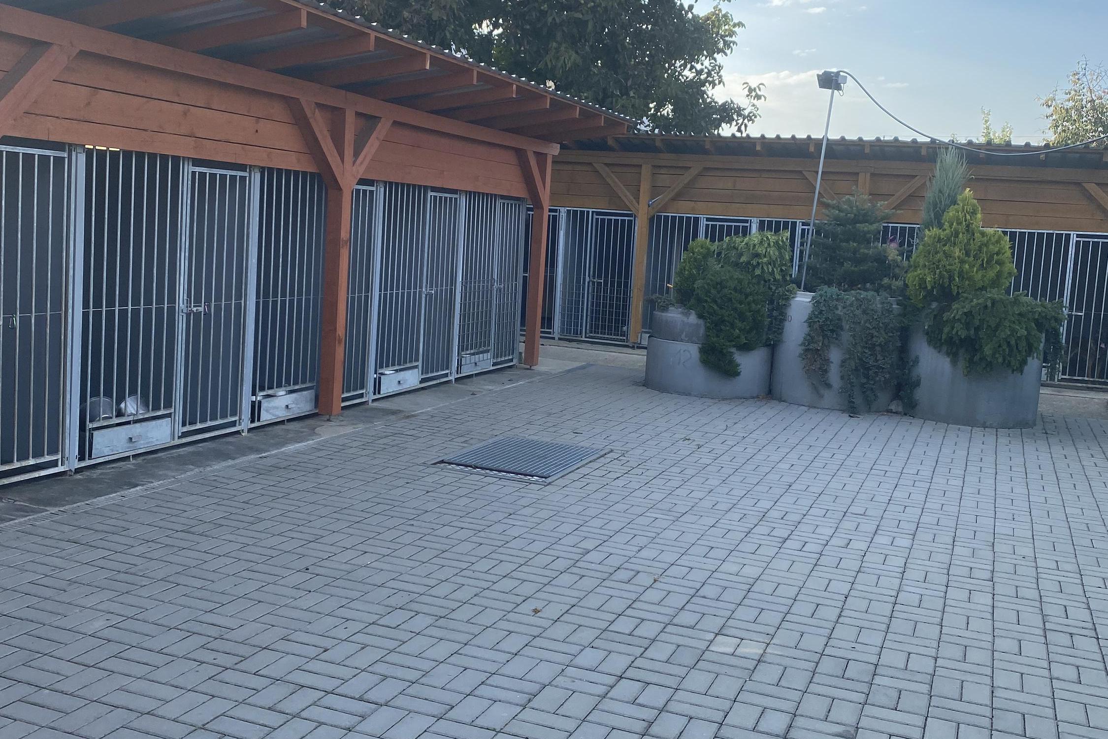 Psí centrum - "Na samotě"