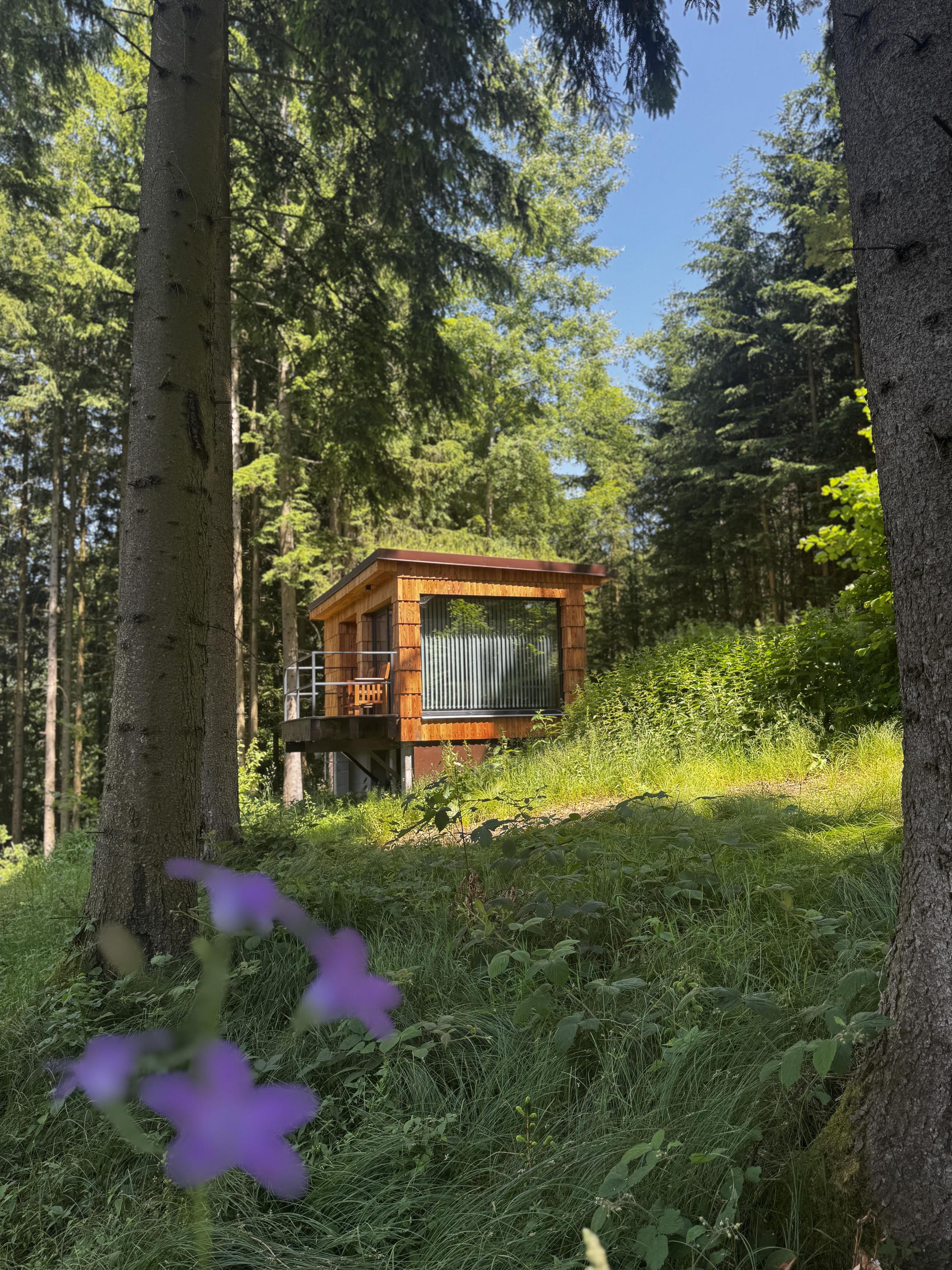 Penzion a restaurace Berry foto 6