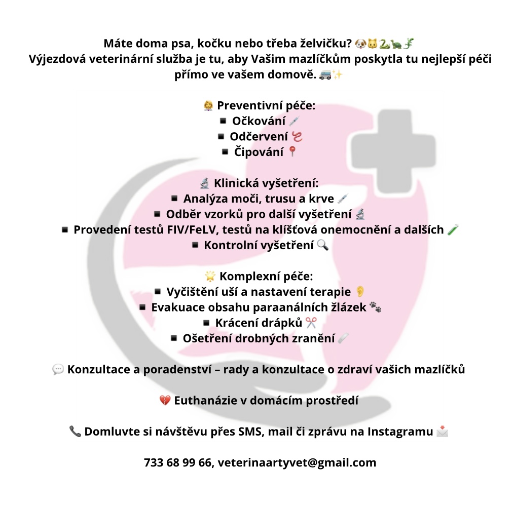 Výjezdová veterinární služba ArtyVet - MVDr. Barbora Sečkářová foto 2