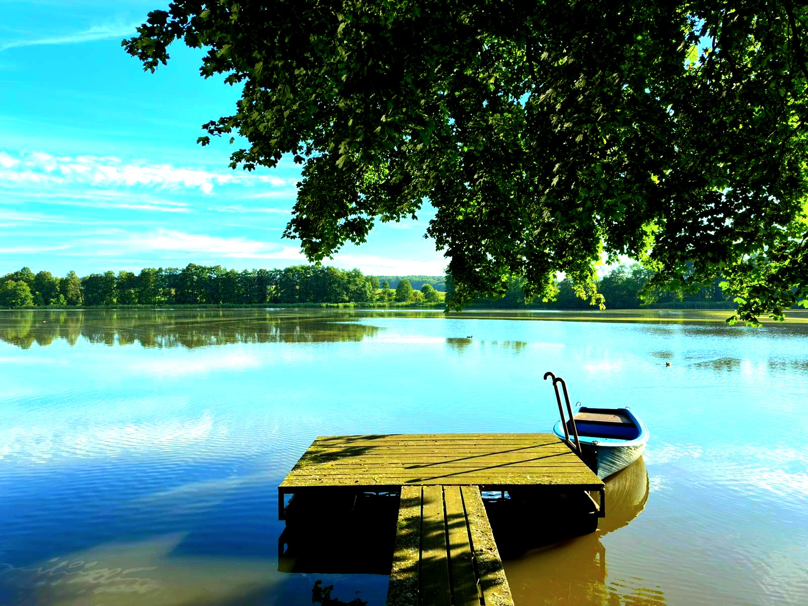 Kemp Knoflík foto 6