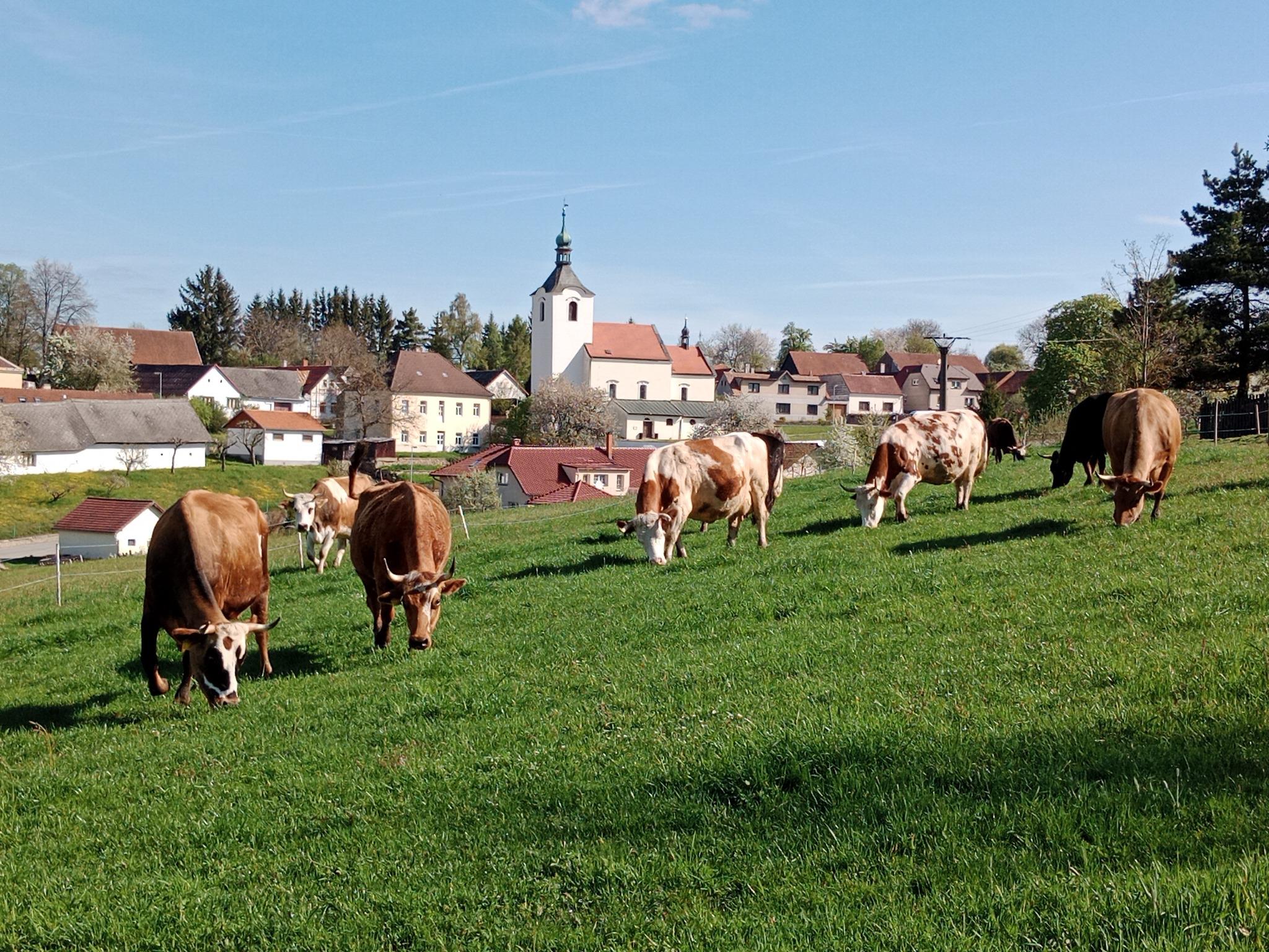 TonKa - sýrárna na statku foto 2
