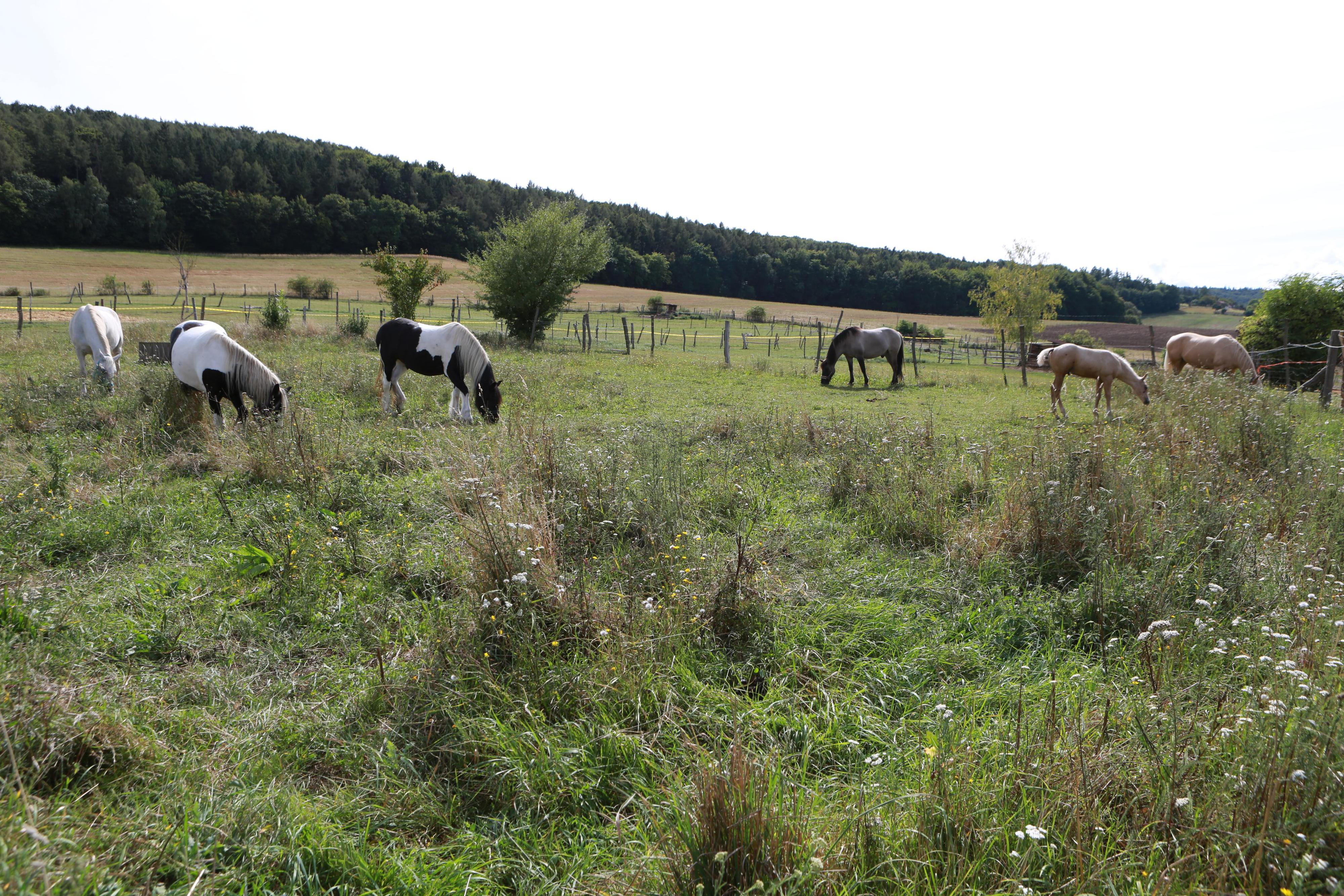 Statek Pohoda Karolína Vágnerová foto 3
