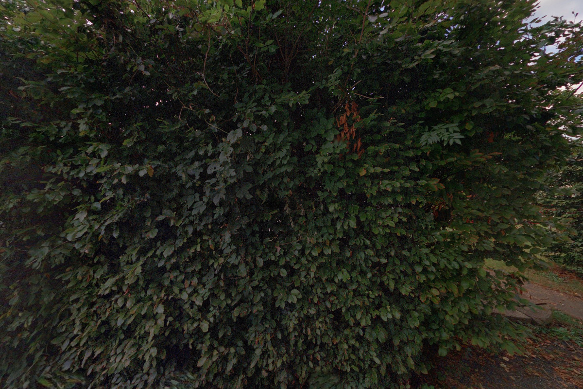 SH ČMS - Sbor dobrovolných hasičů Kly