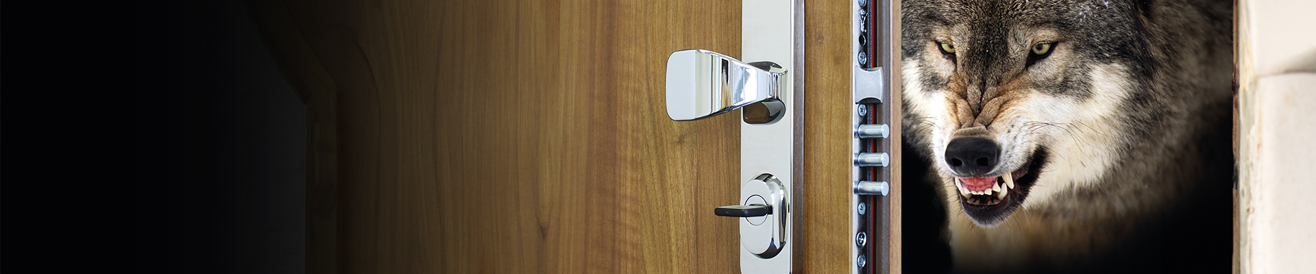 Úvodní obrázek D&L mont CZ s.r.o. - Bezpečnostní dveře