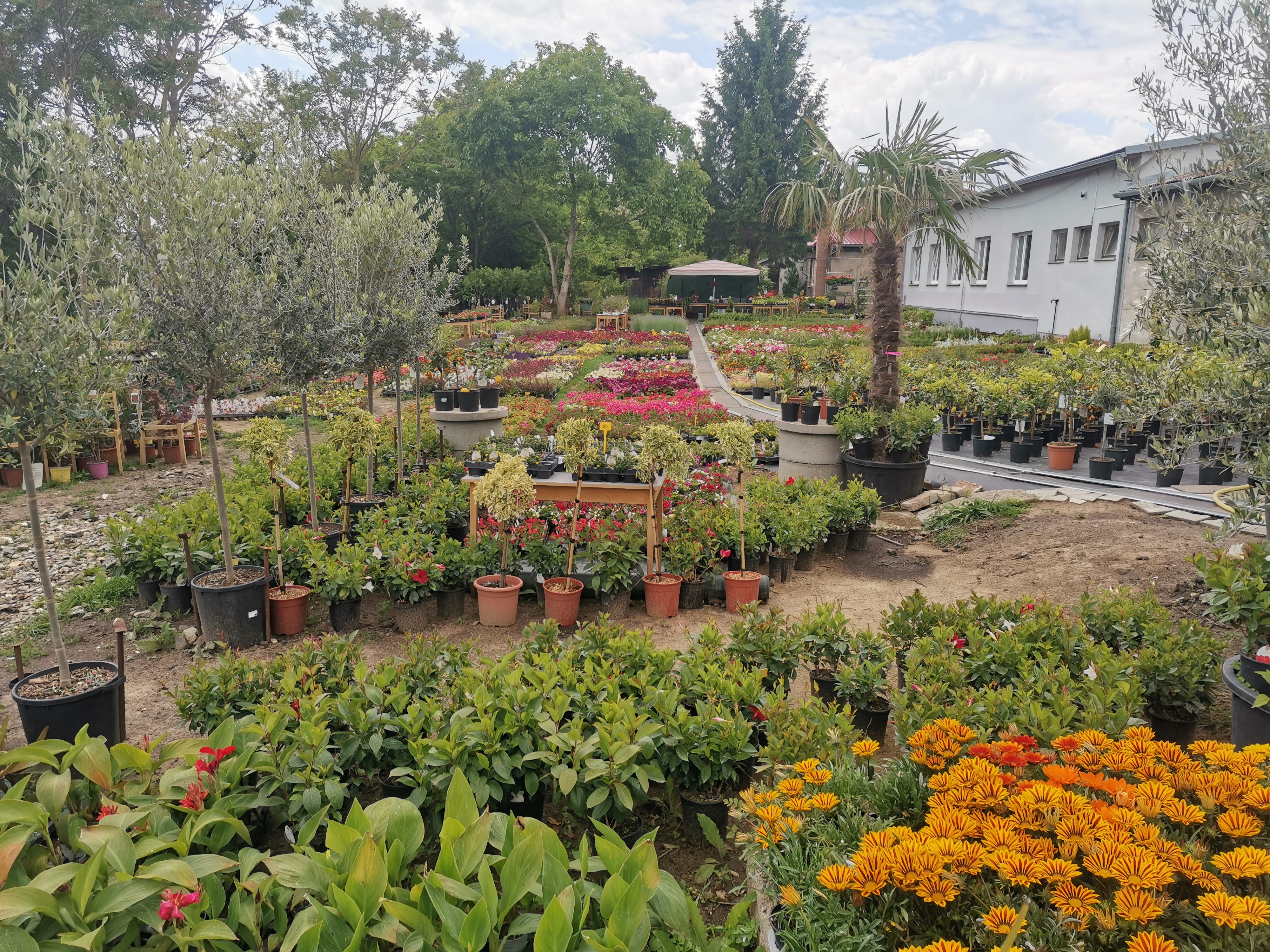 Zahradnictví Pavin.Italy s.r.o. foto 4