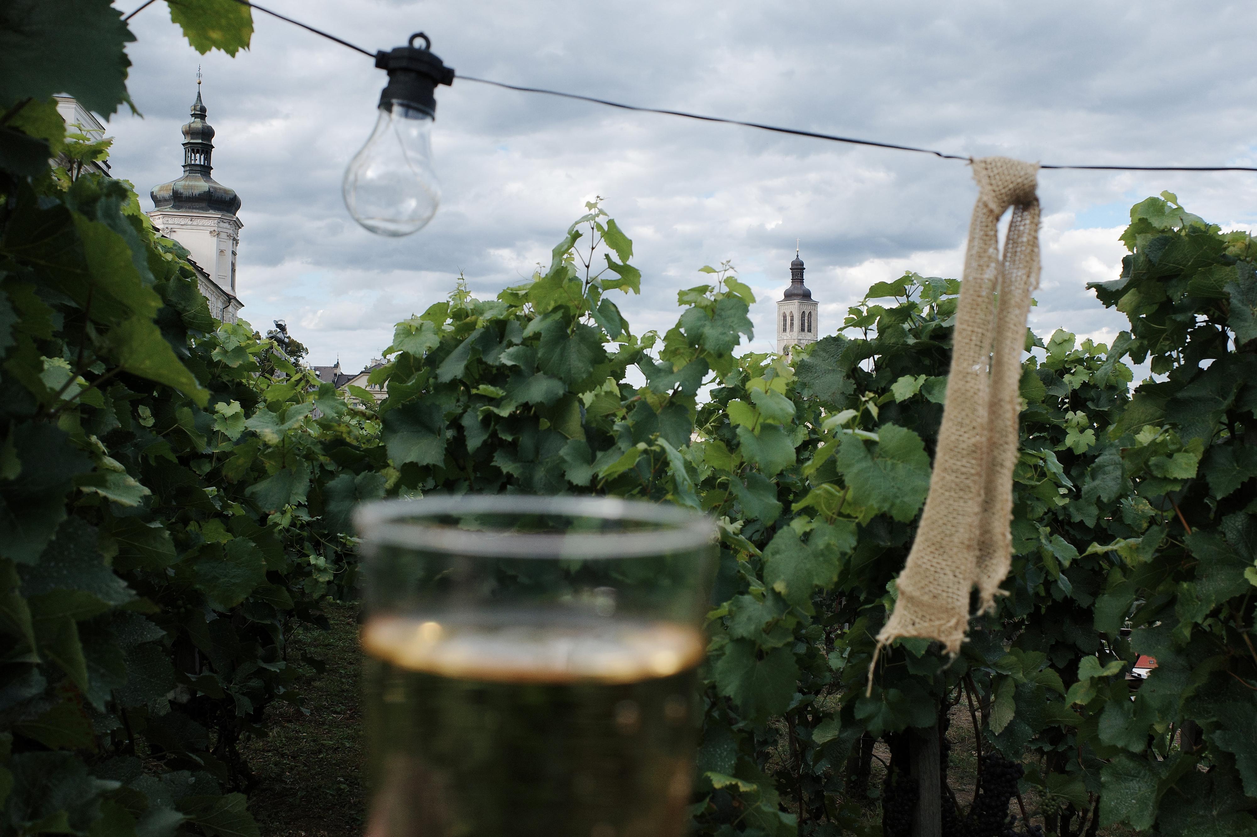 Stánek u kaple Božího těla foto 5