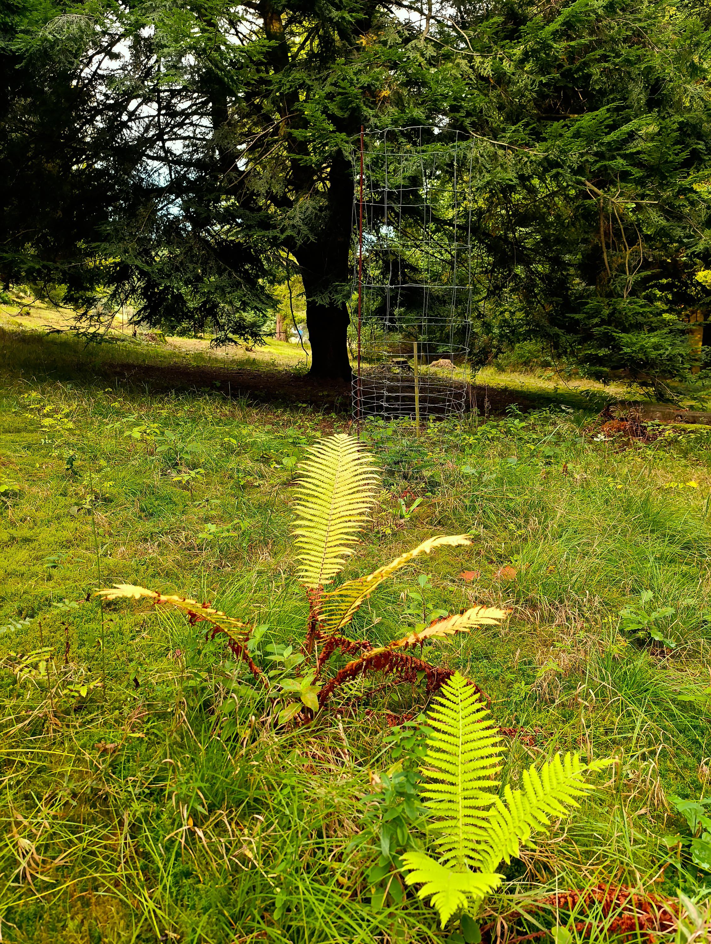 Arboretum foto 2